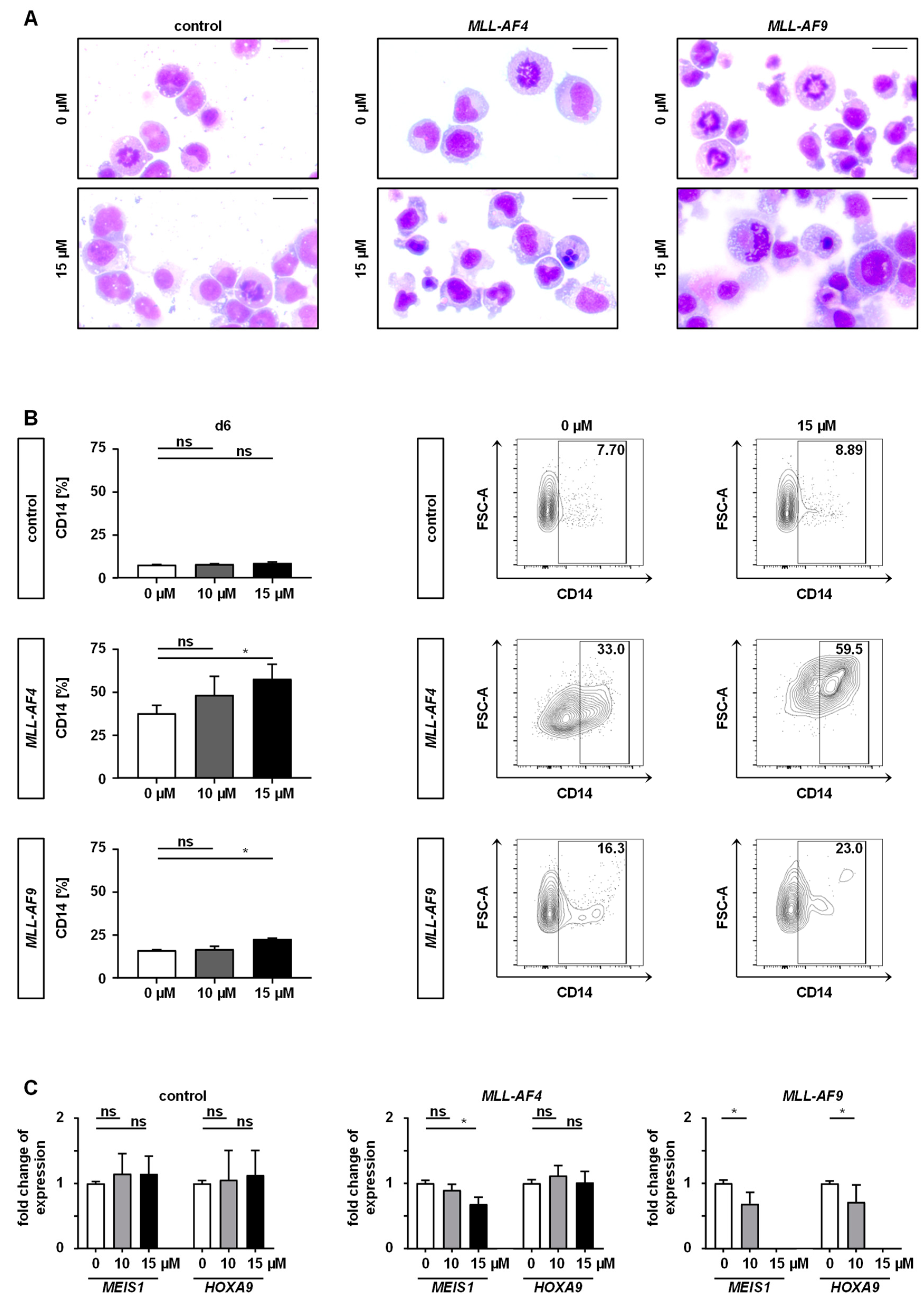 Cancers 12 01342 g004