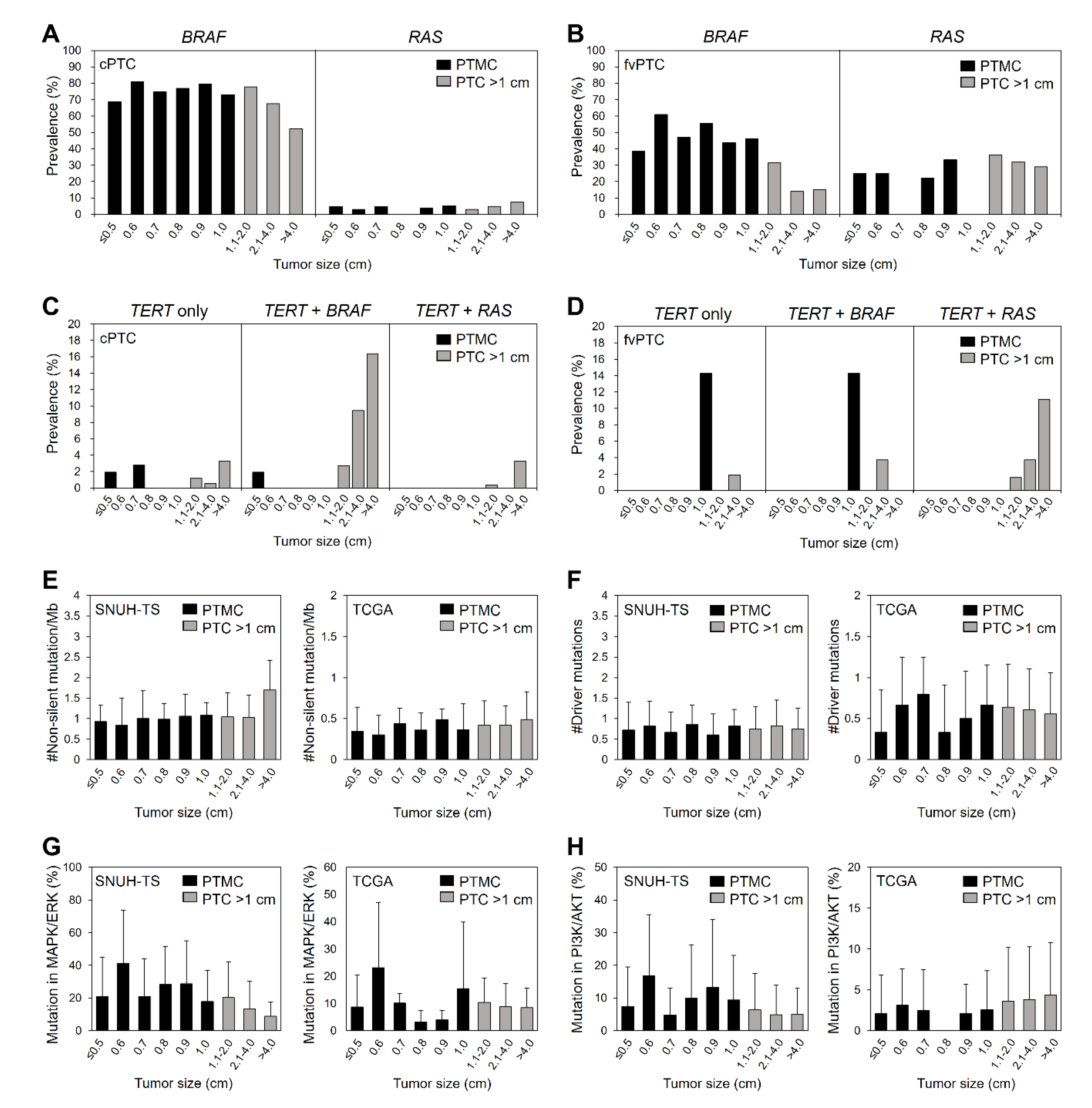 Cancers 12 01345 g001 Cancers 12 01345 g001