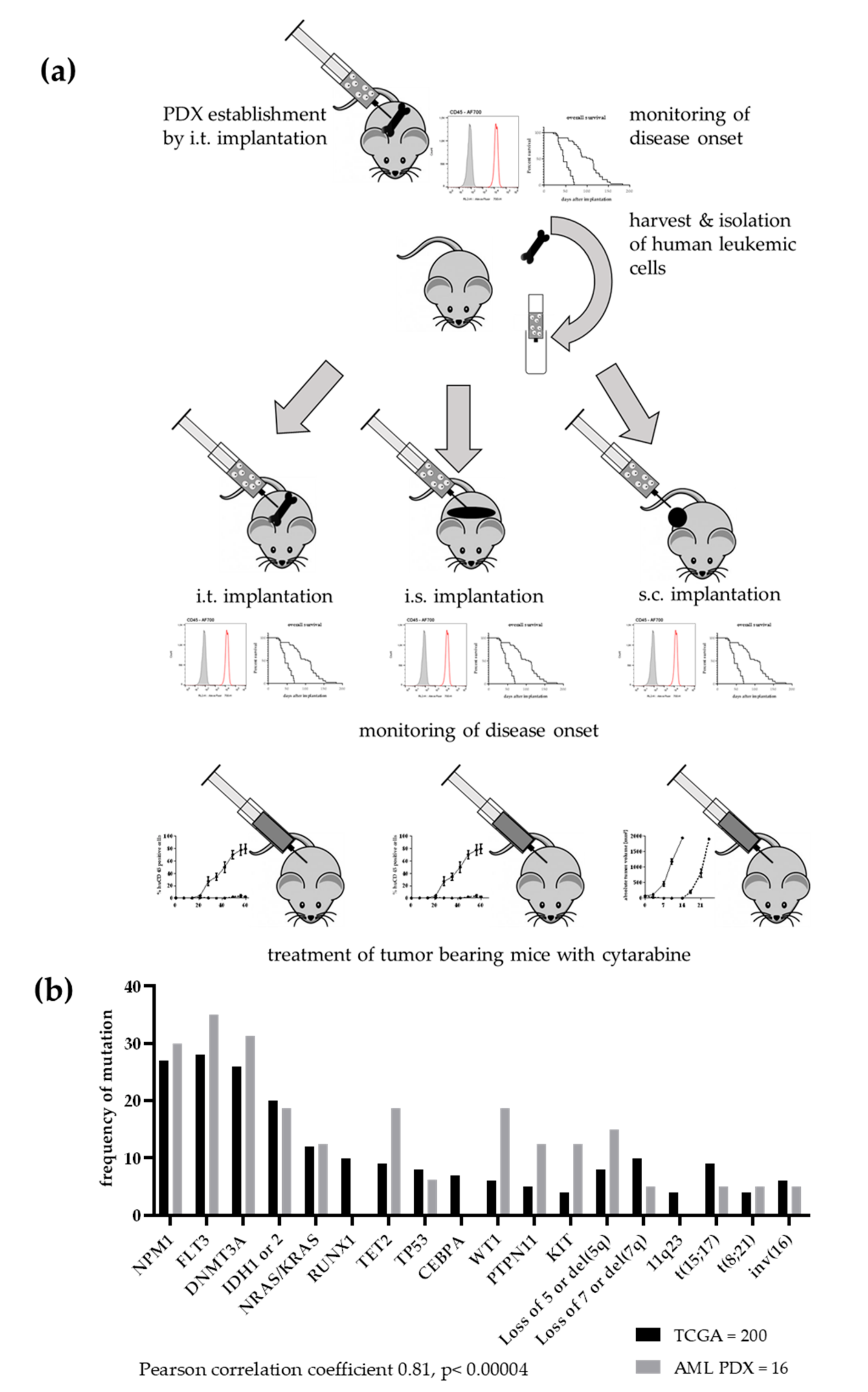 Cancers 12 01349 g001
