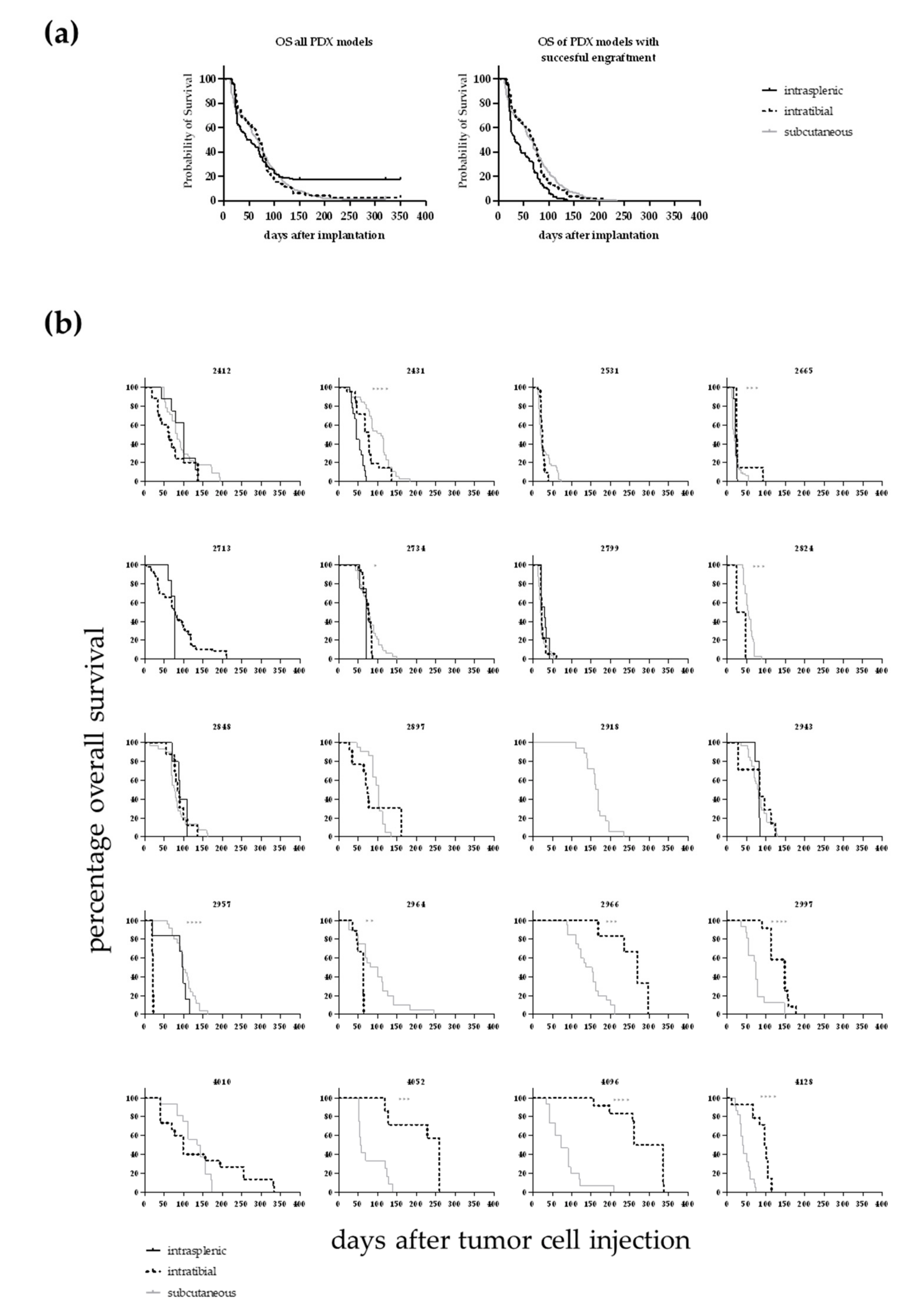 Cancers 12 01349 g003