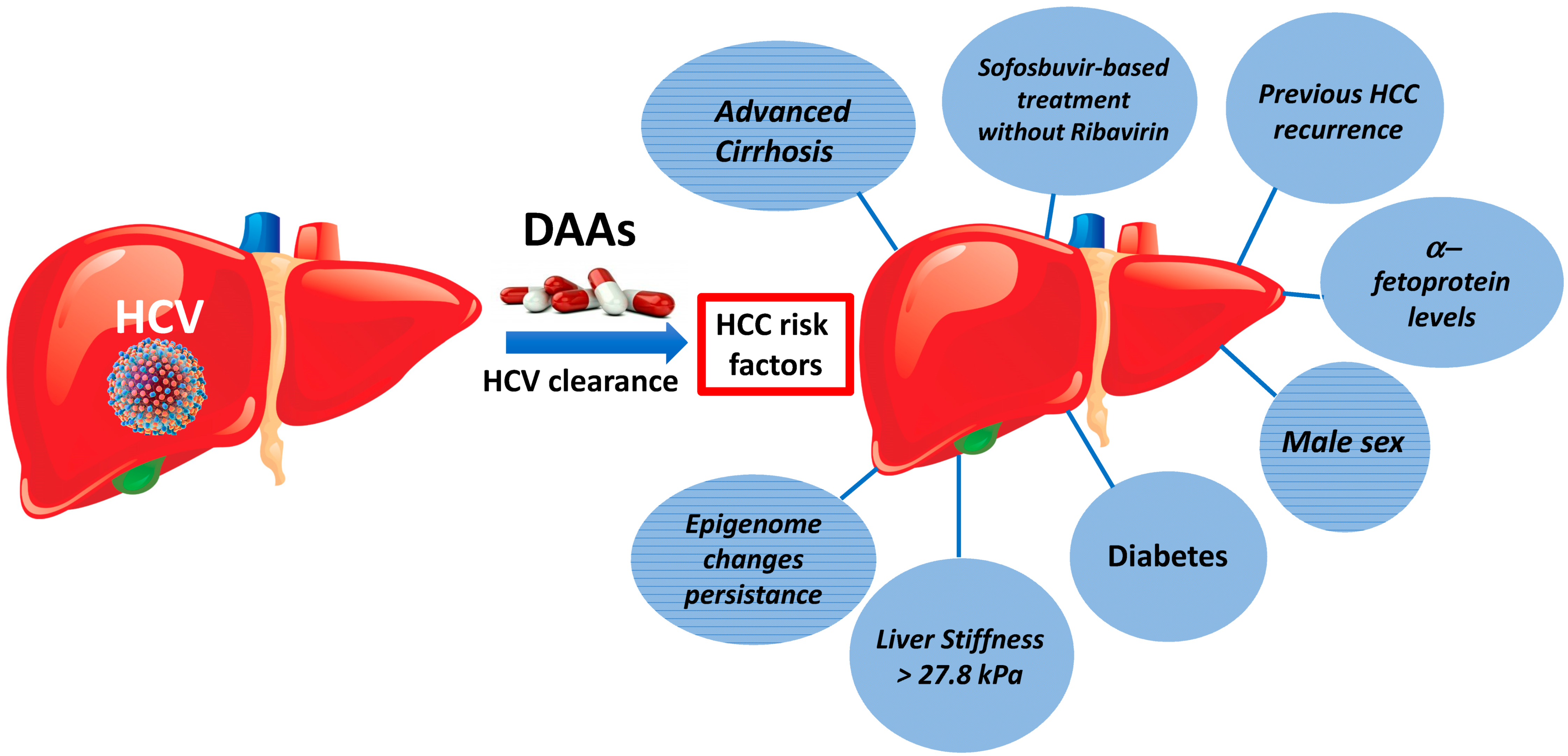Hcd Risk Risk of Hepatocellular Carcinoma after HCV Clearance by Direct-Acting ...