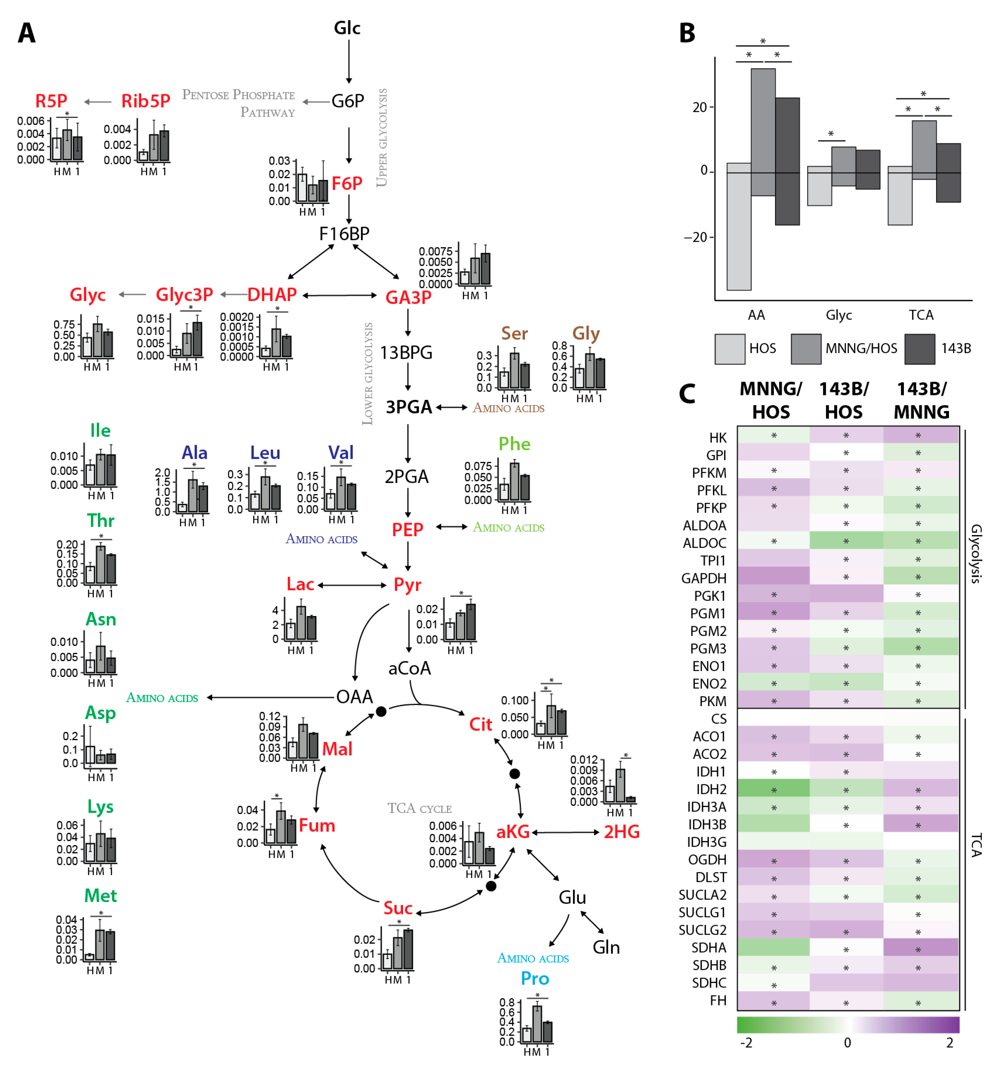 Cancers 12 01371 g001