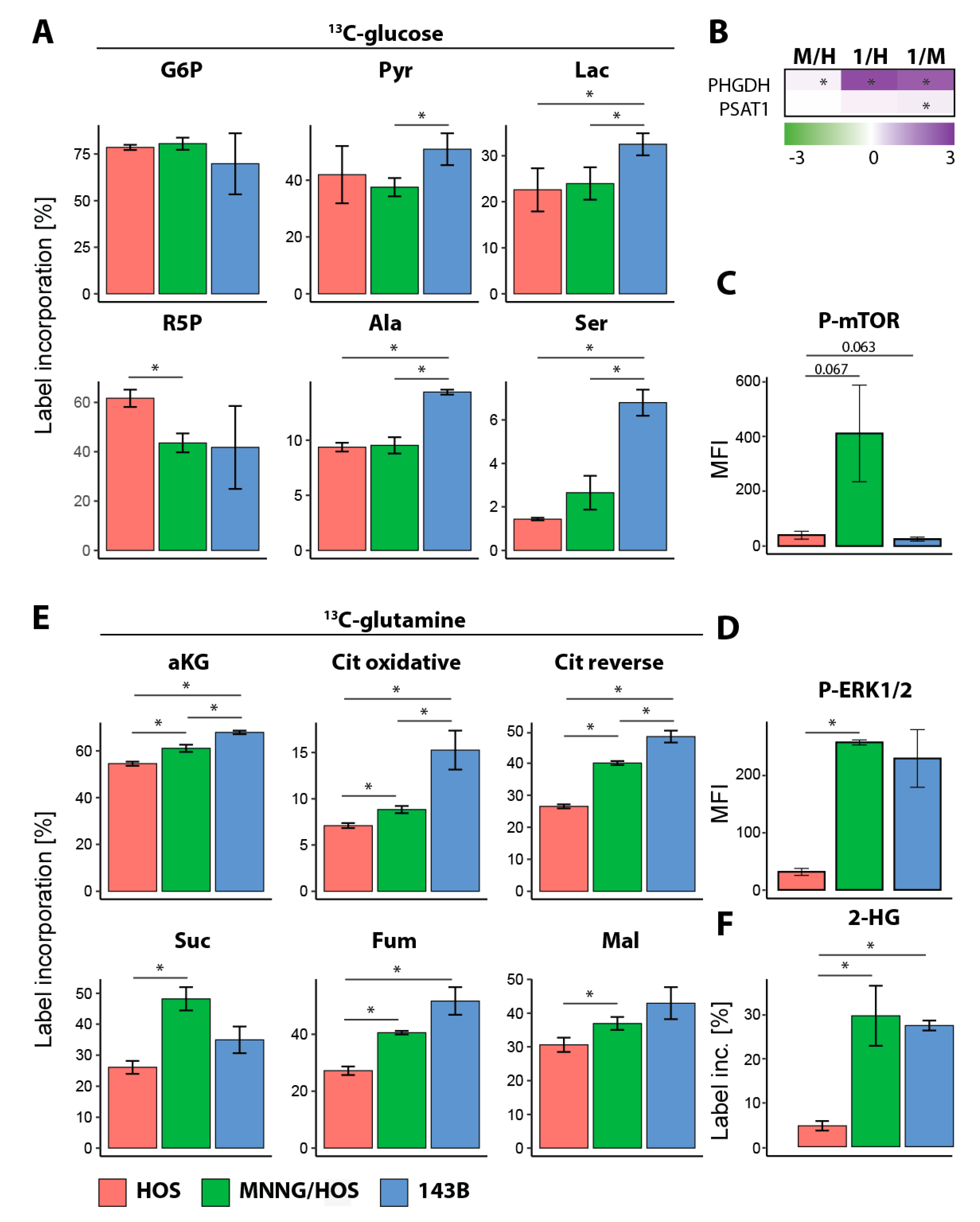 Cancers 12 01371 g003