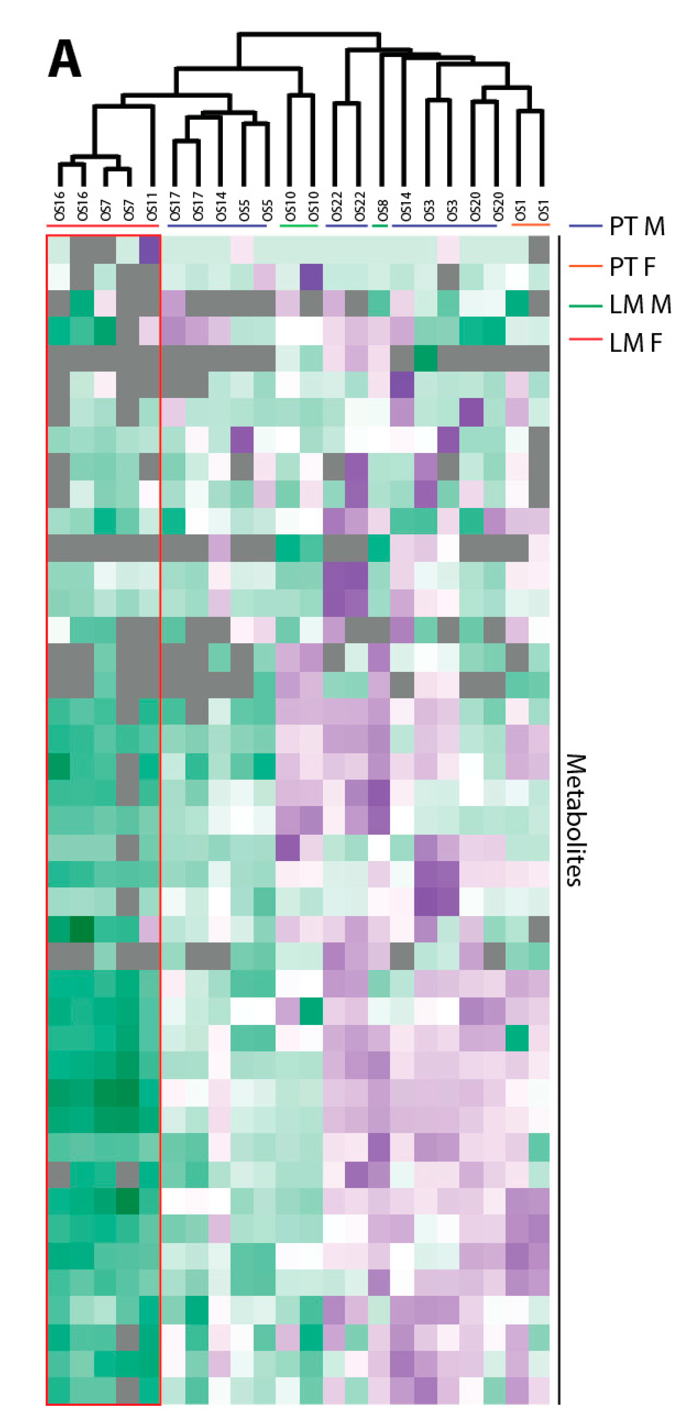 Cancers 12 01371 g005a