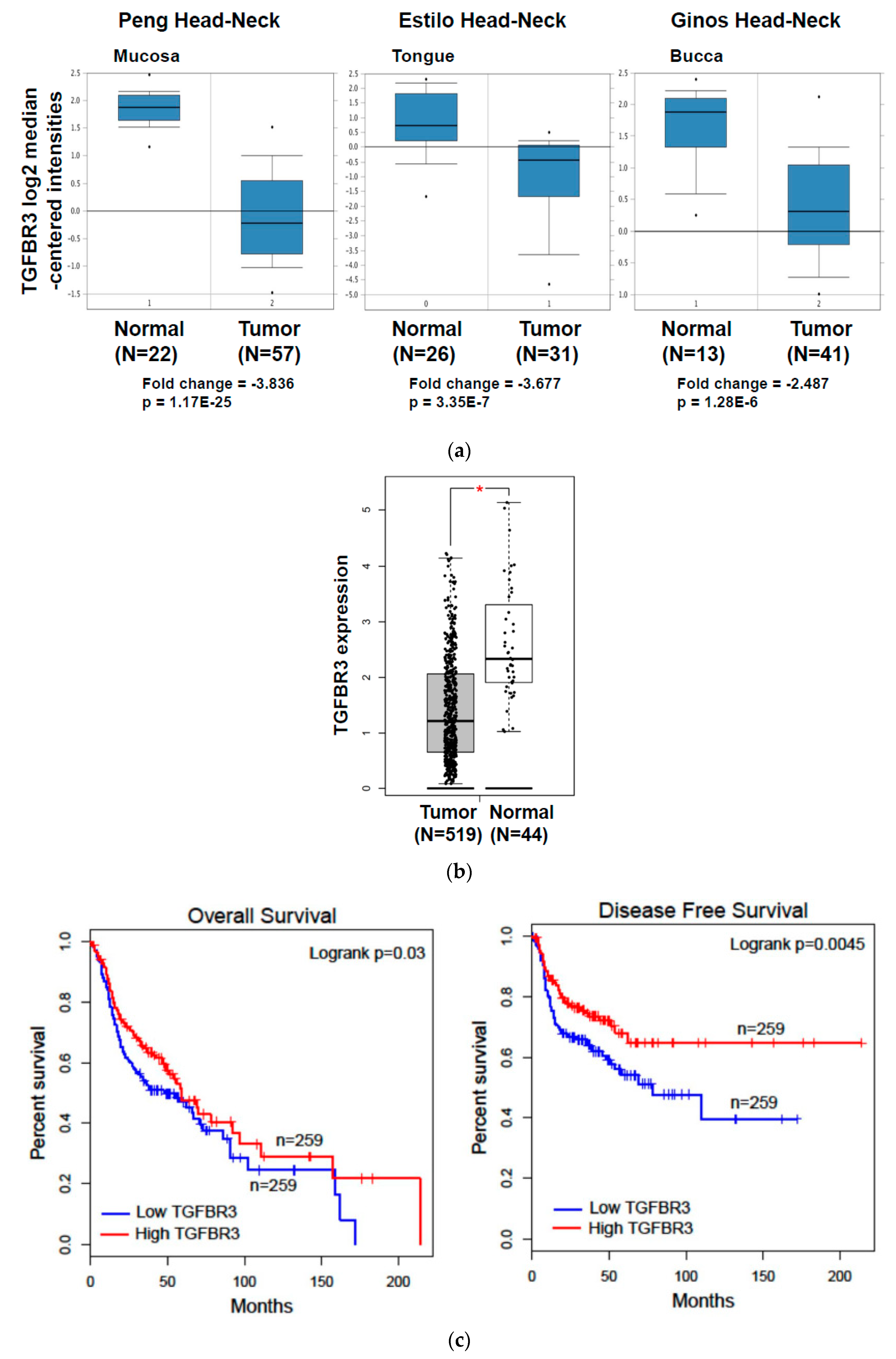 Cancers 12 01375 g001a