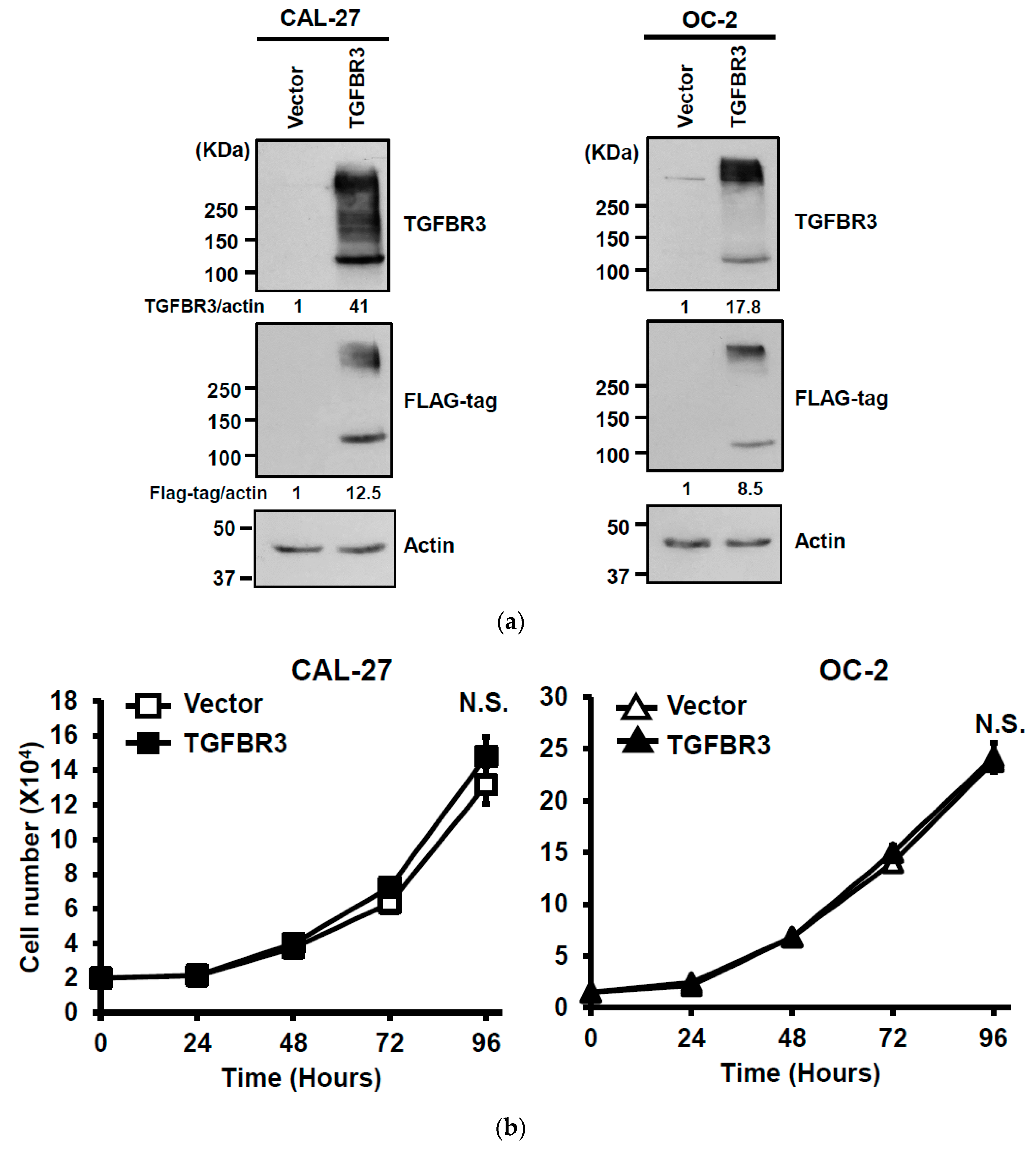Cancers 12 01375 g002a