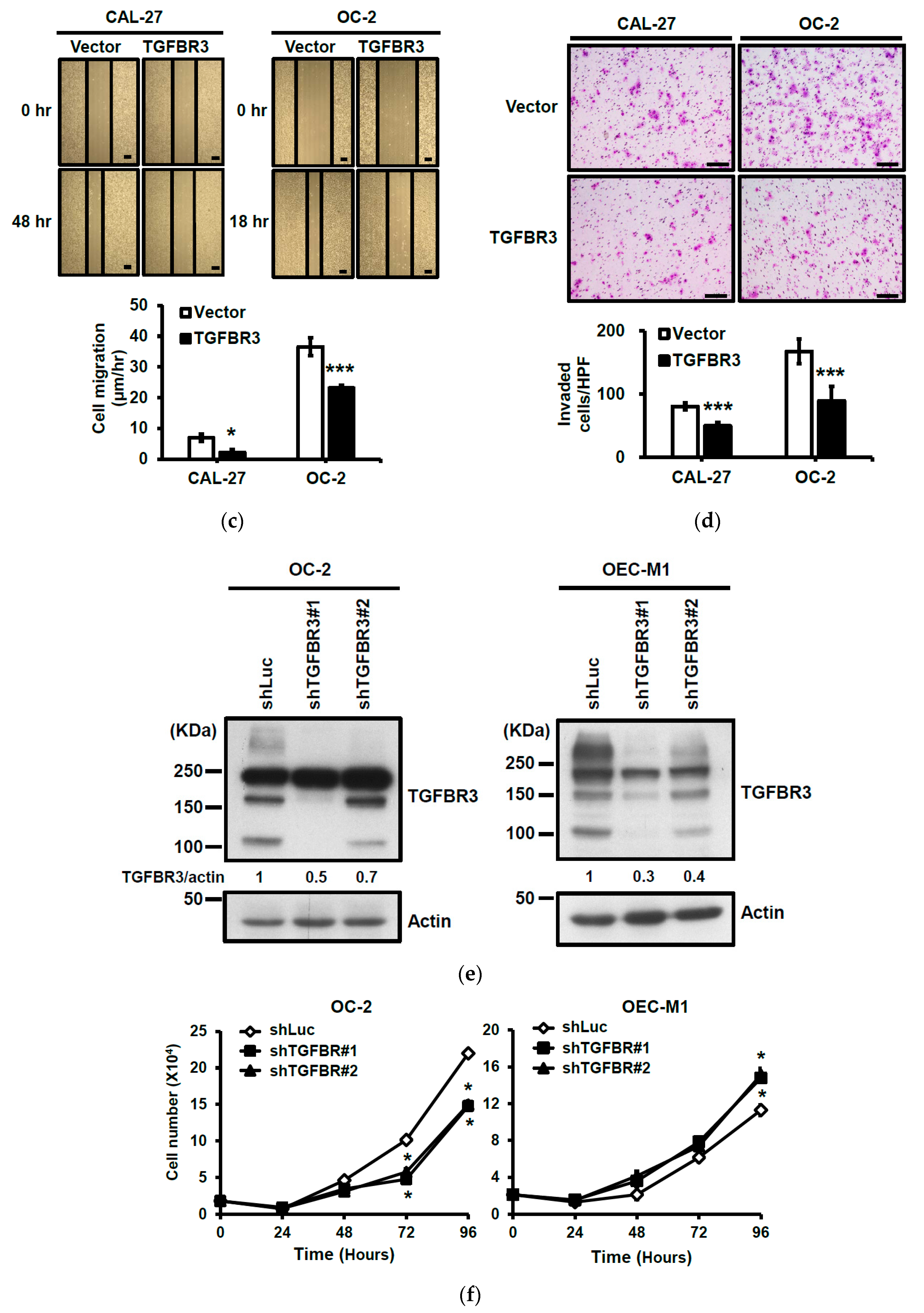 Cancers 12 01375 g002b