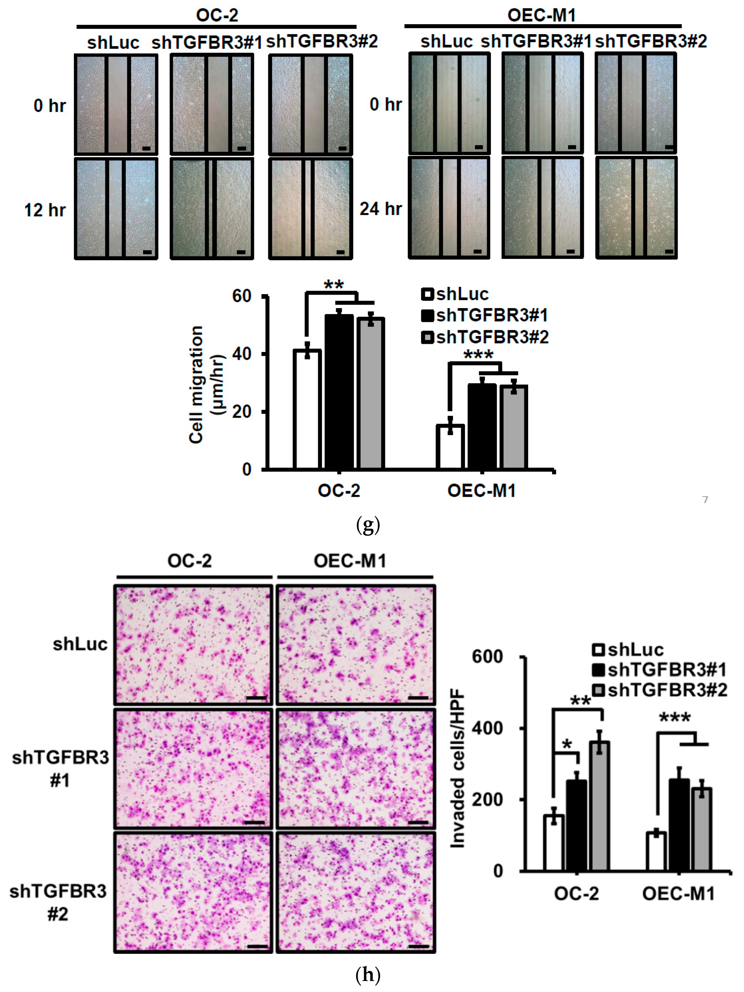 Cancers 12 01375 g002c