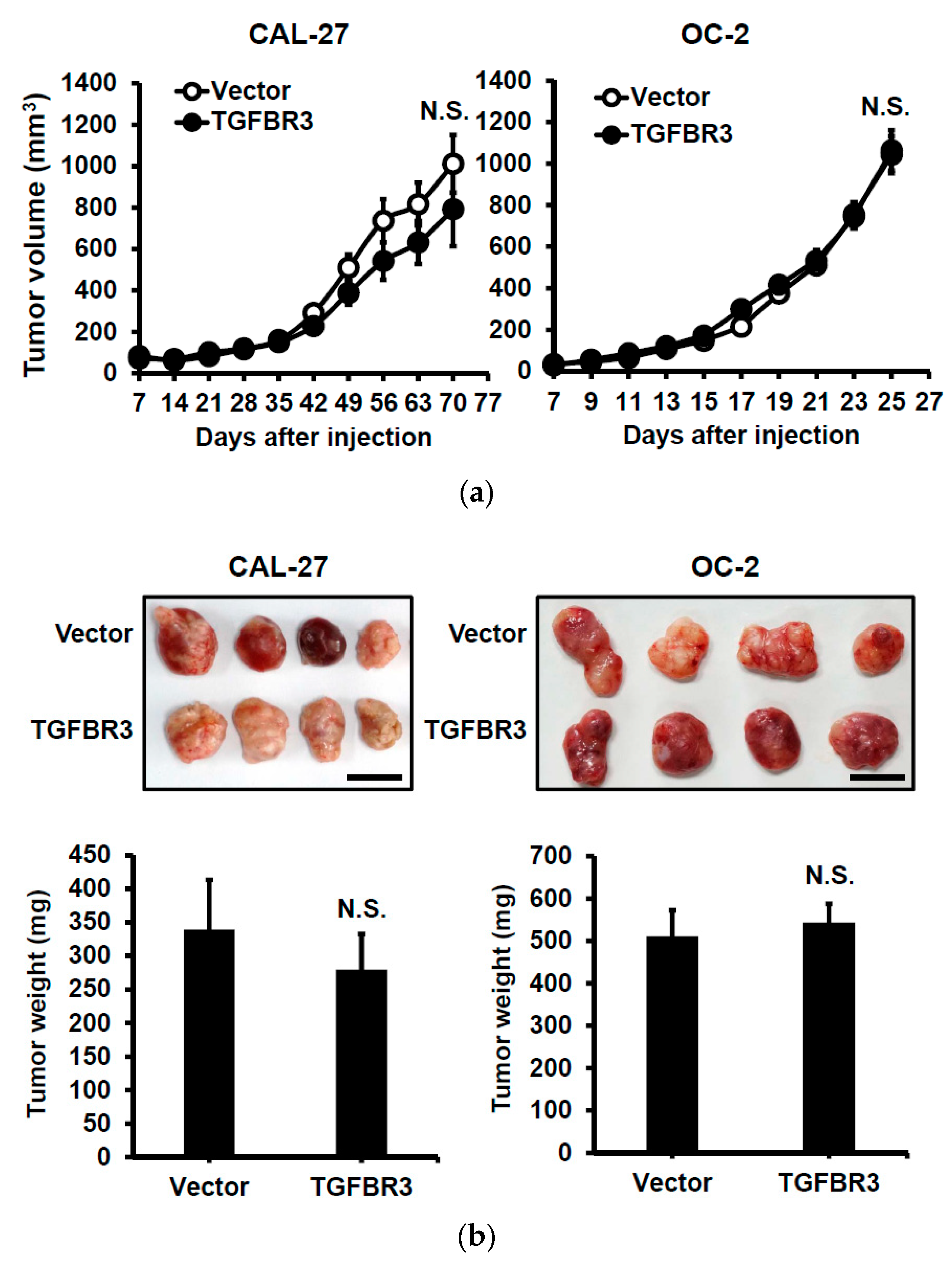 Cancers 12 01375 g003a