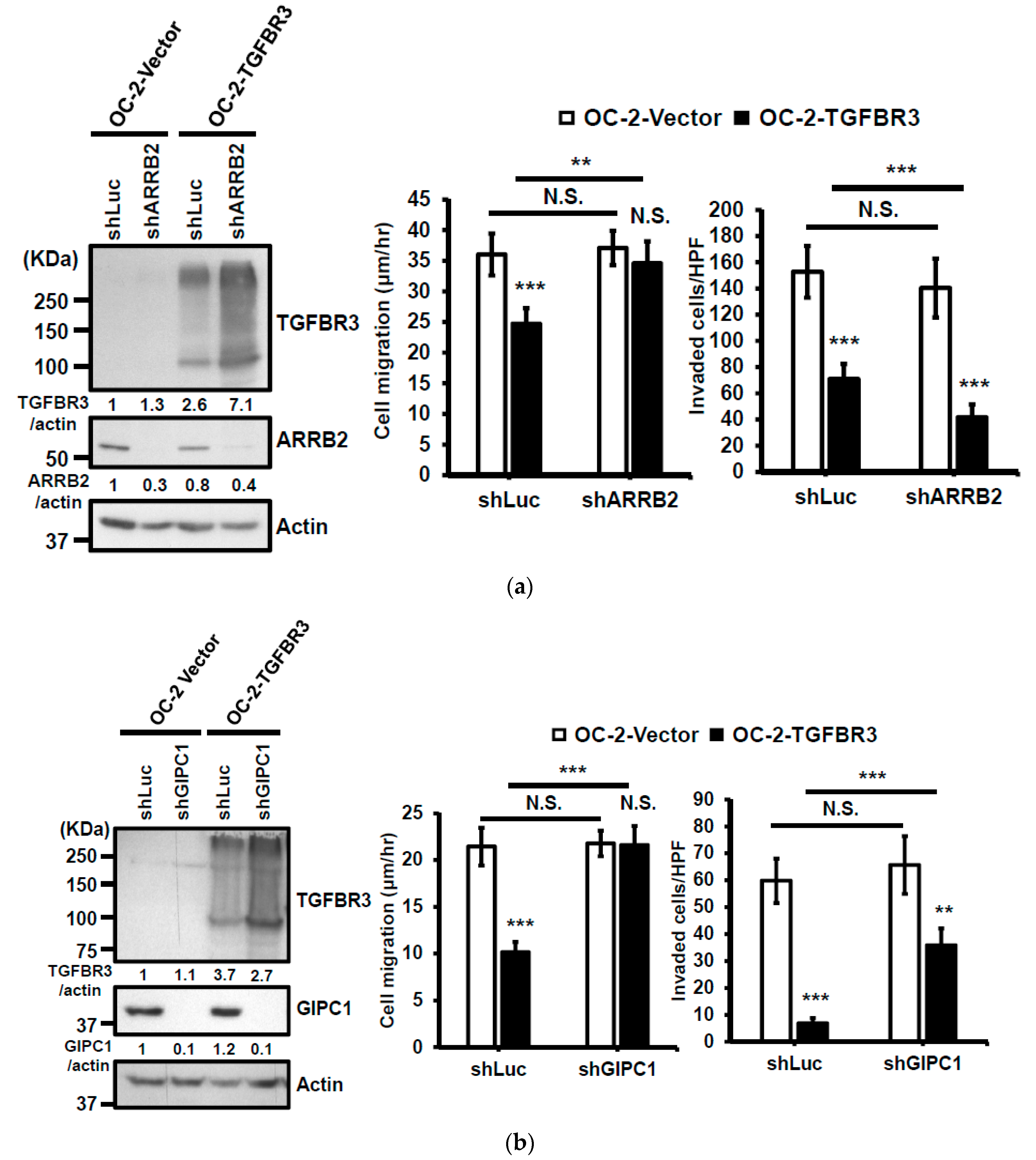 Cancers 12 01375 g005a