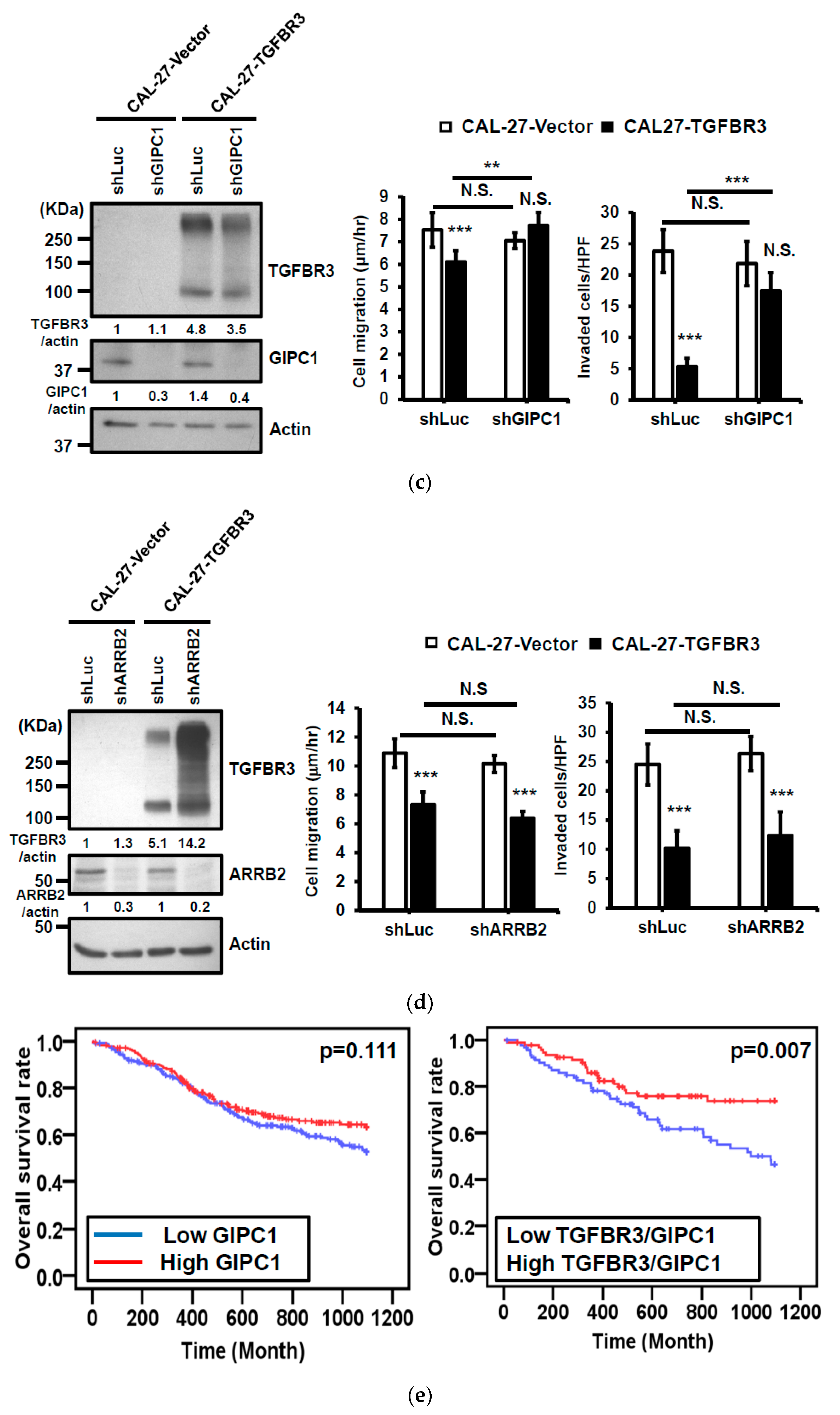 Cancers 12 01375 g005b