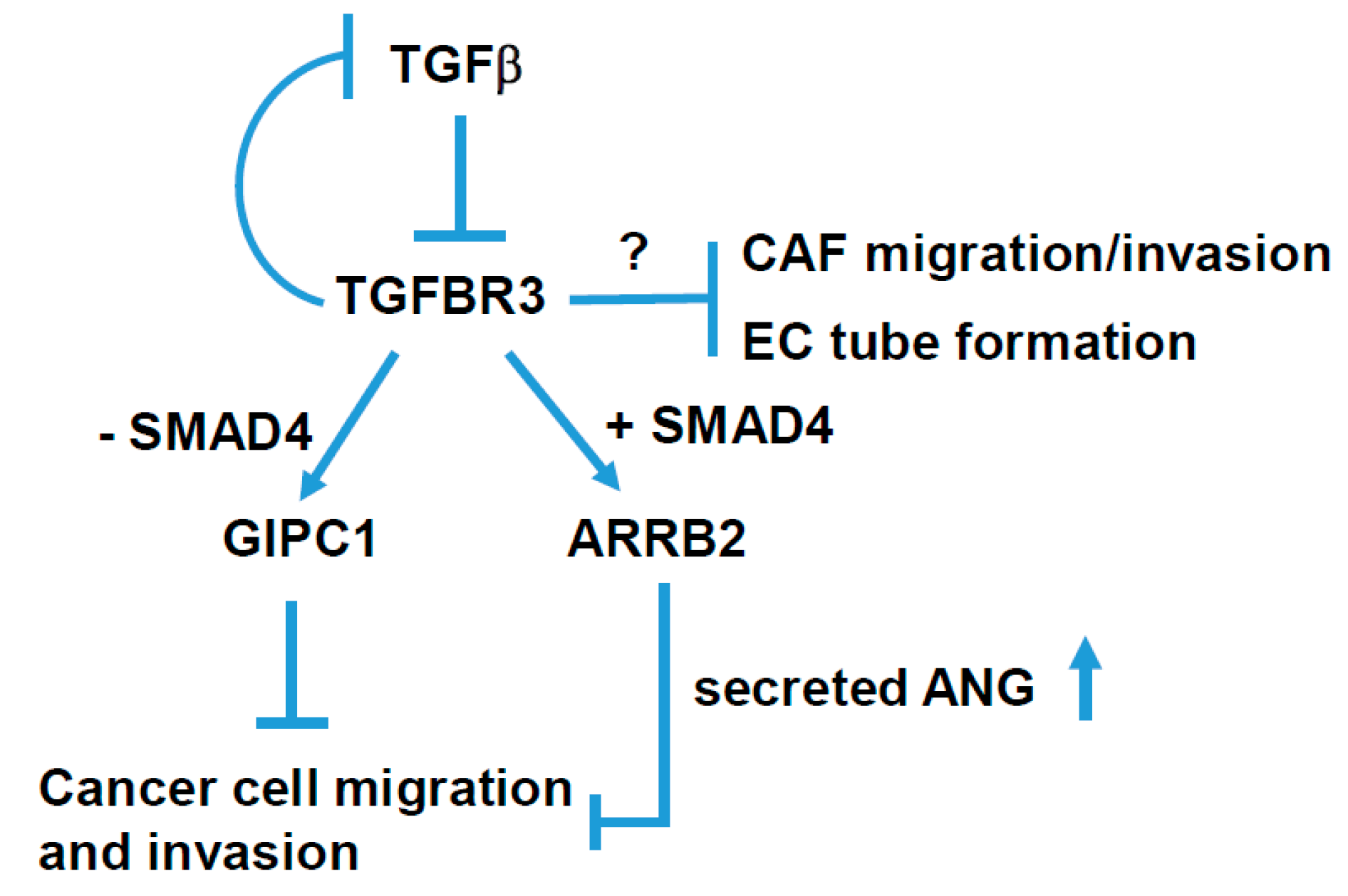 Cancers 12 01375 g008