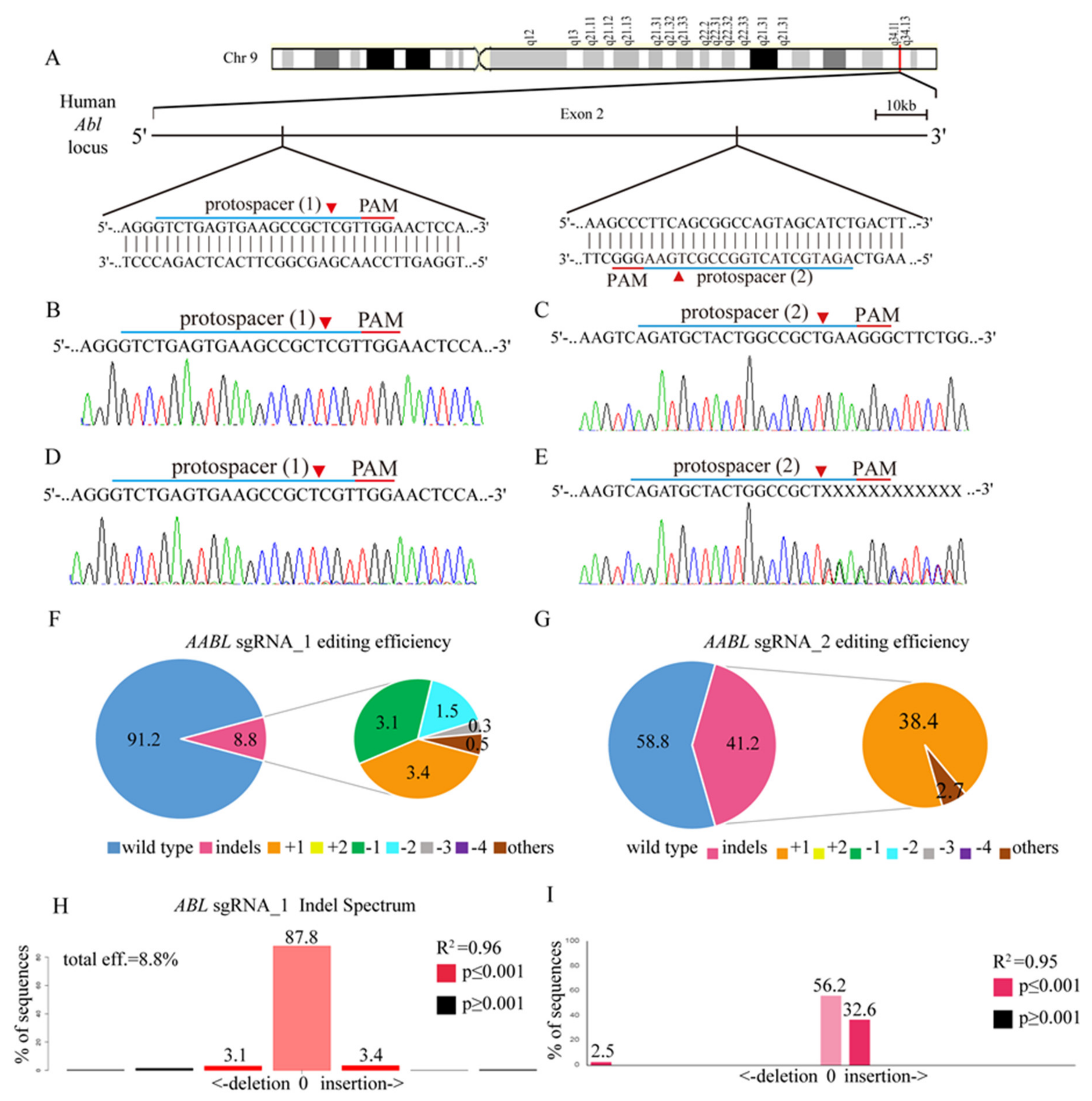 Cancers 12 01399 g002