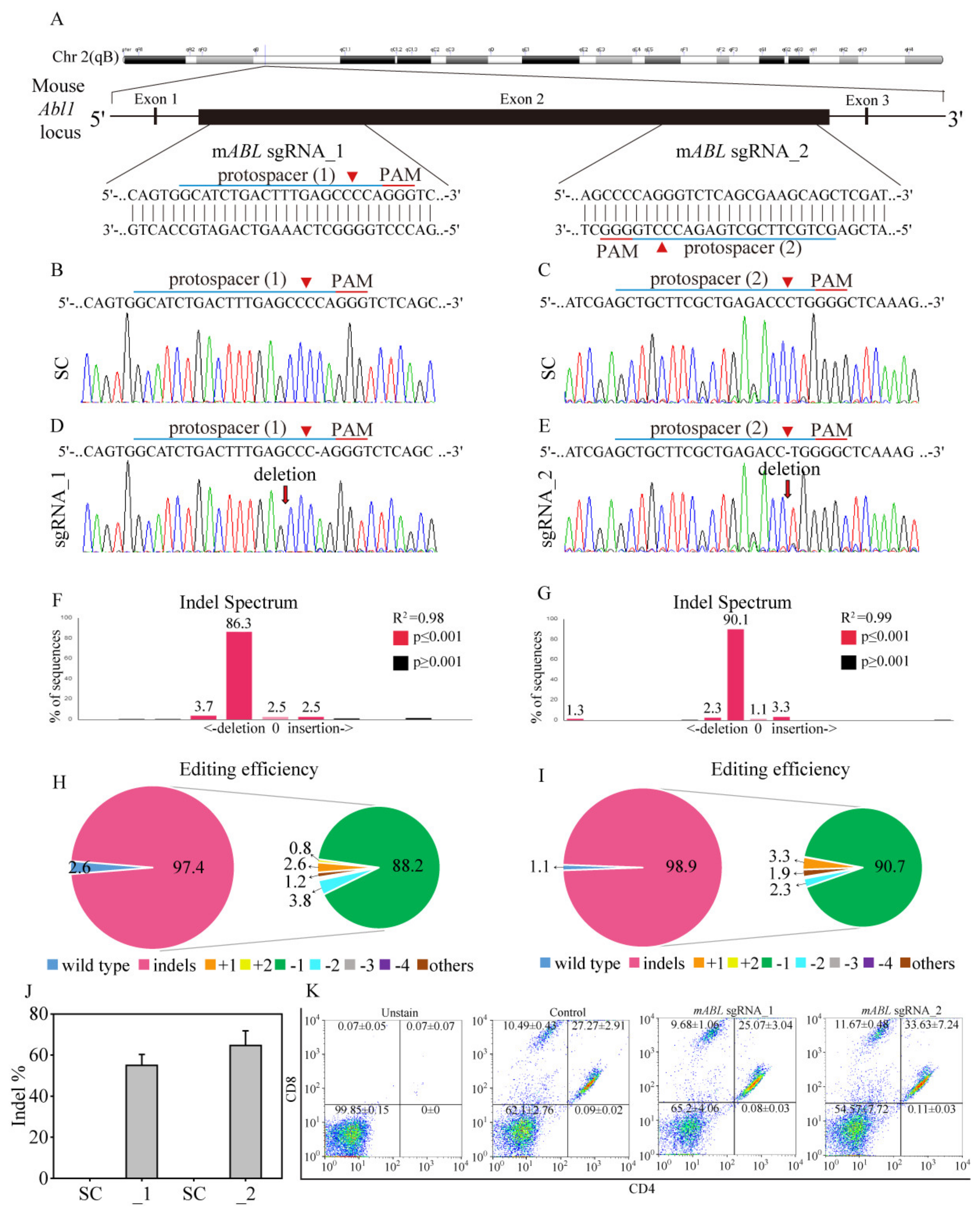 Cancers 12 01399 g008