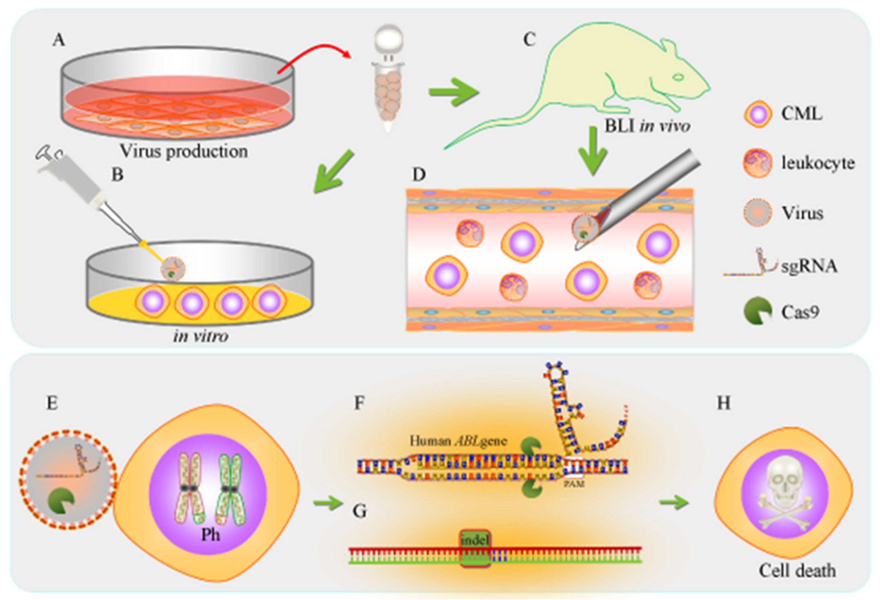 Cancers 12 01399 g009