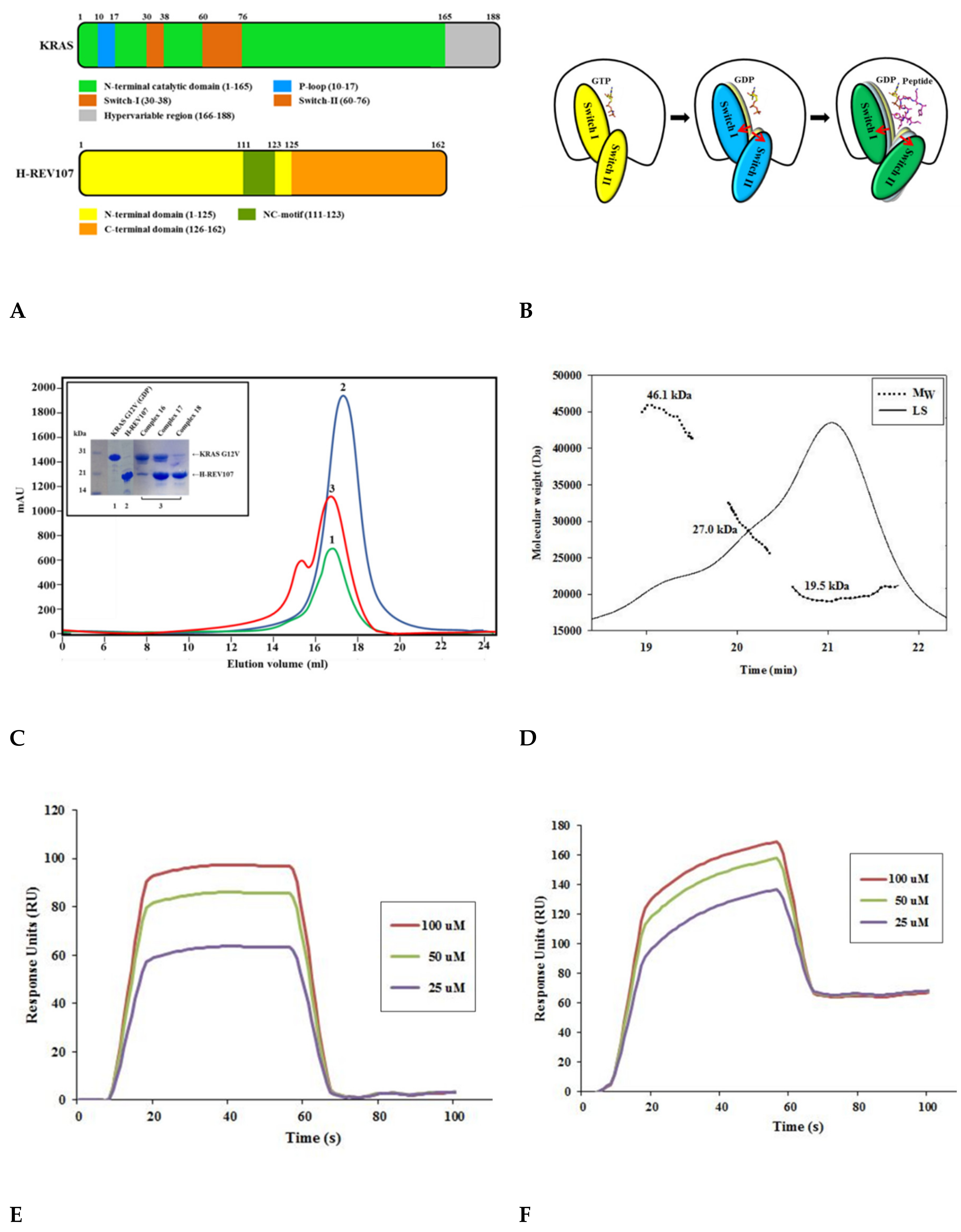 Cancers 12 01412 g001