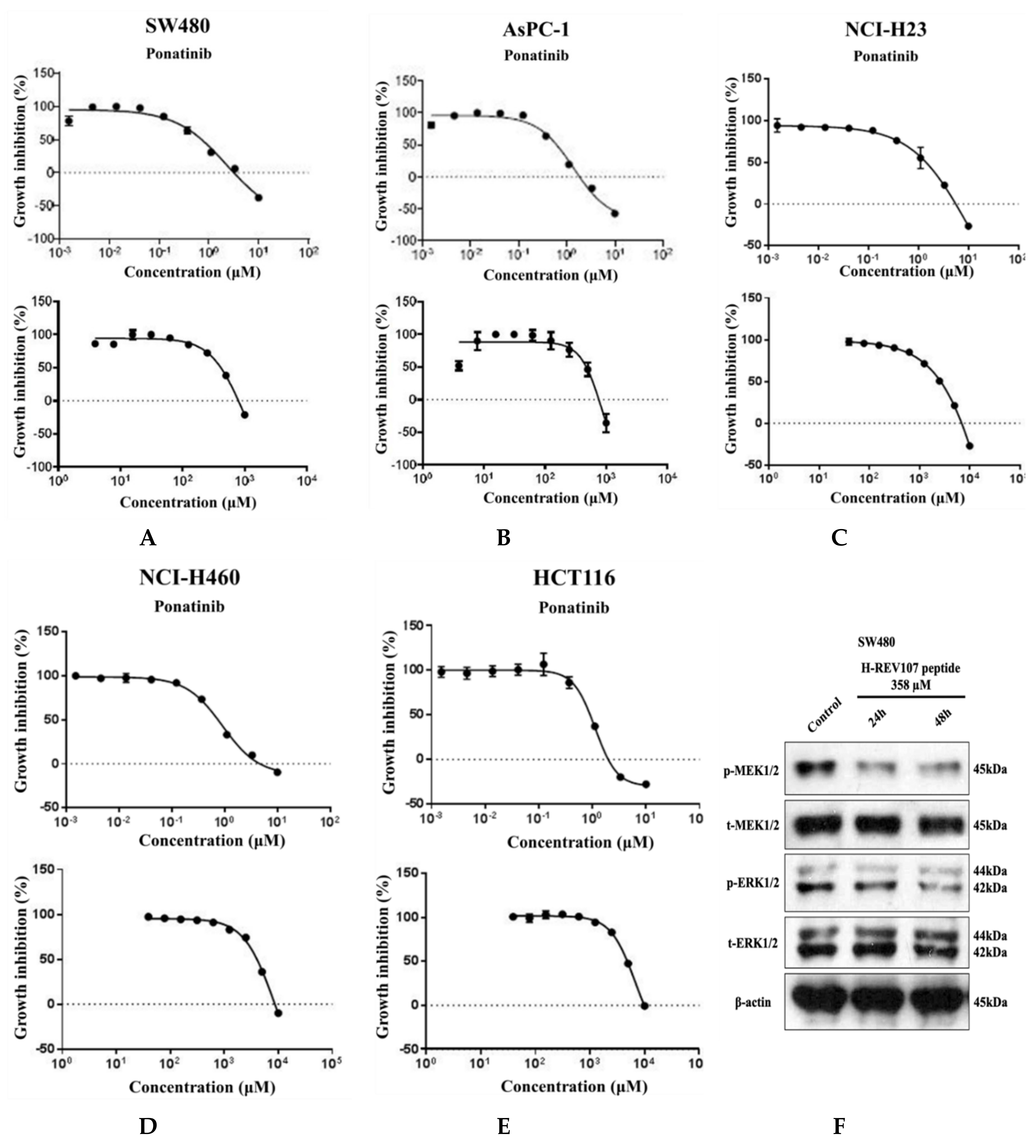 Cancers 12 01412 g003a