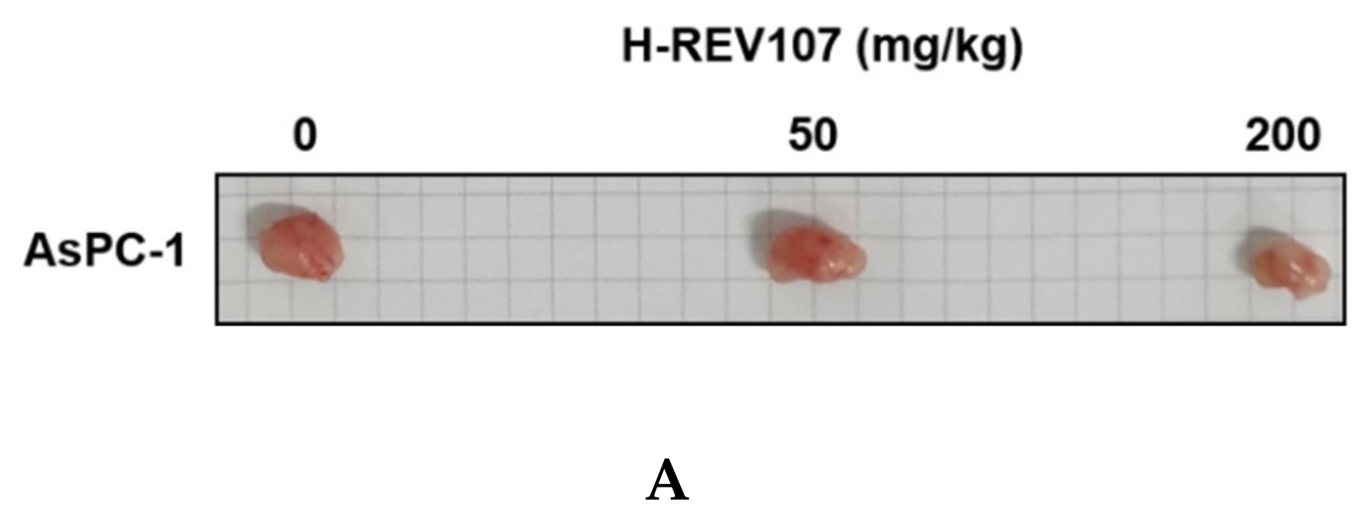 Cancers 12 01412 g004a