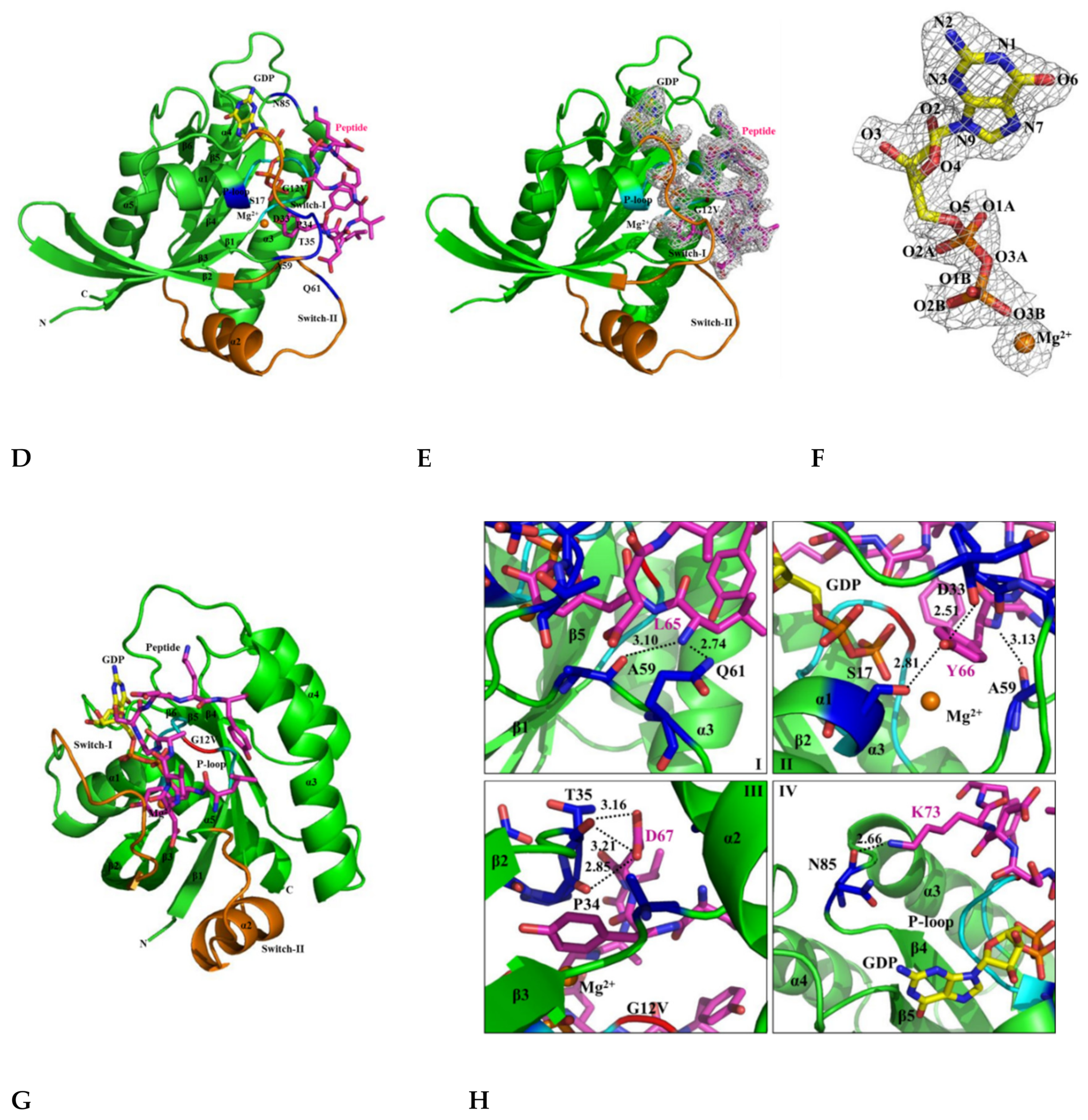 Cancers 12 01412 g005b