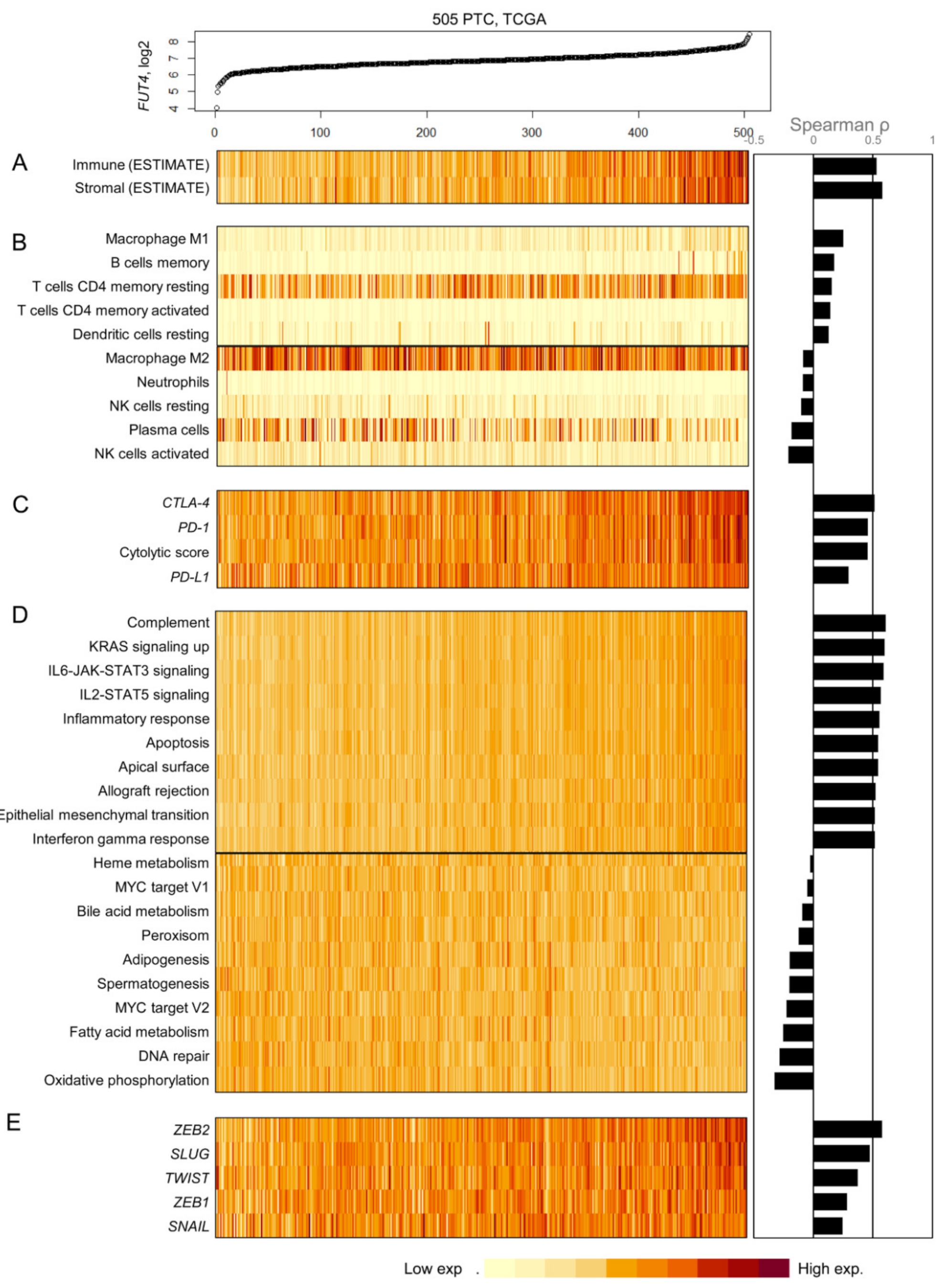 Cancers 12 01413 g003