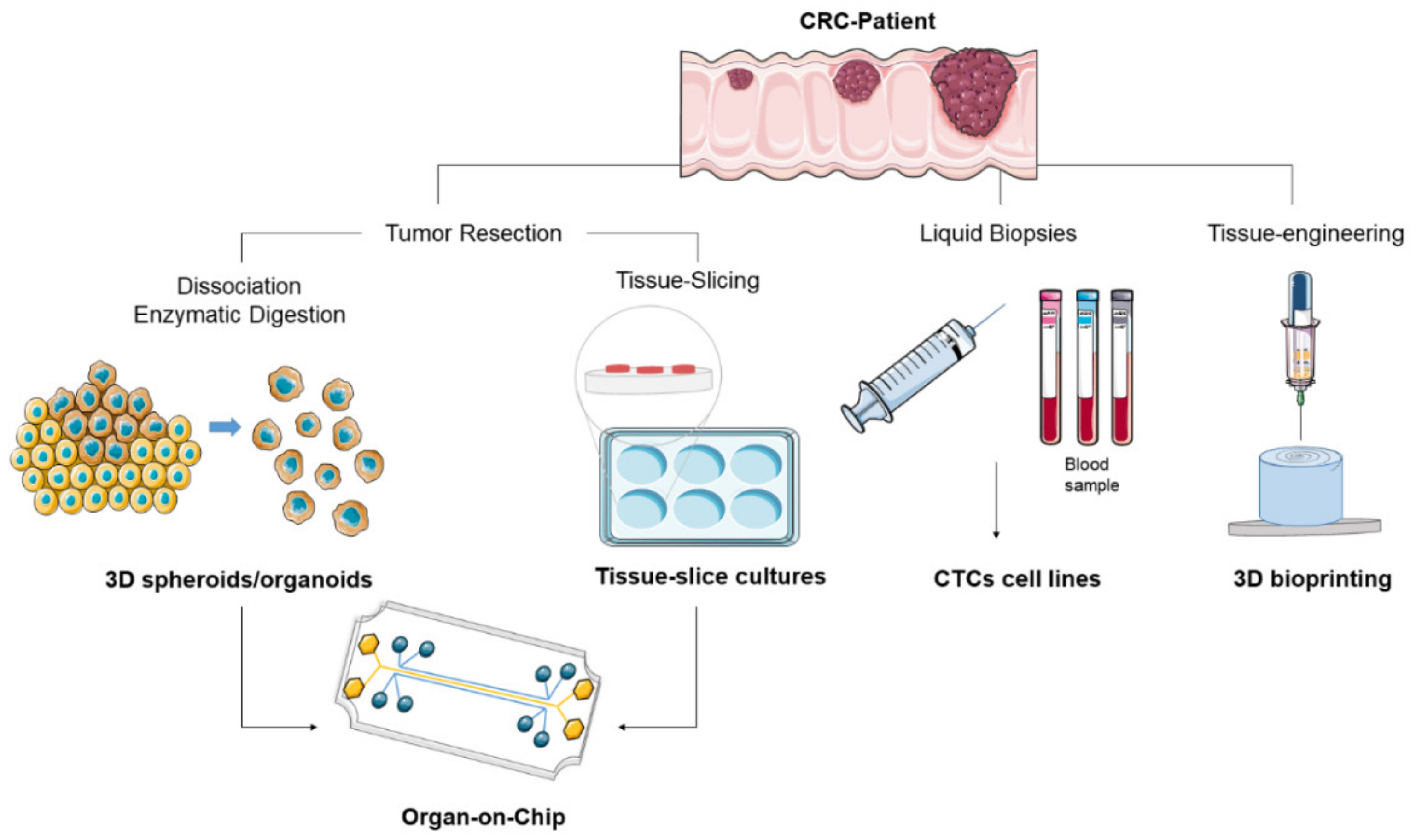 Cancers 12 01423 g001