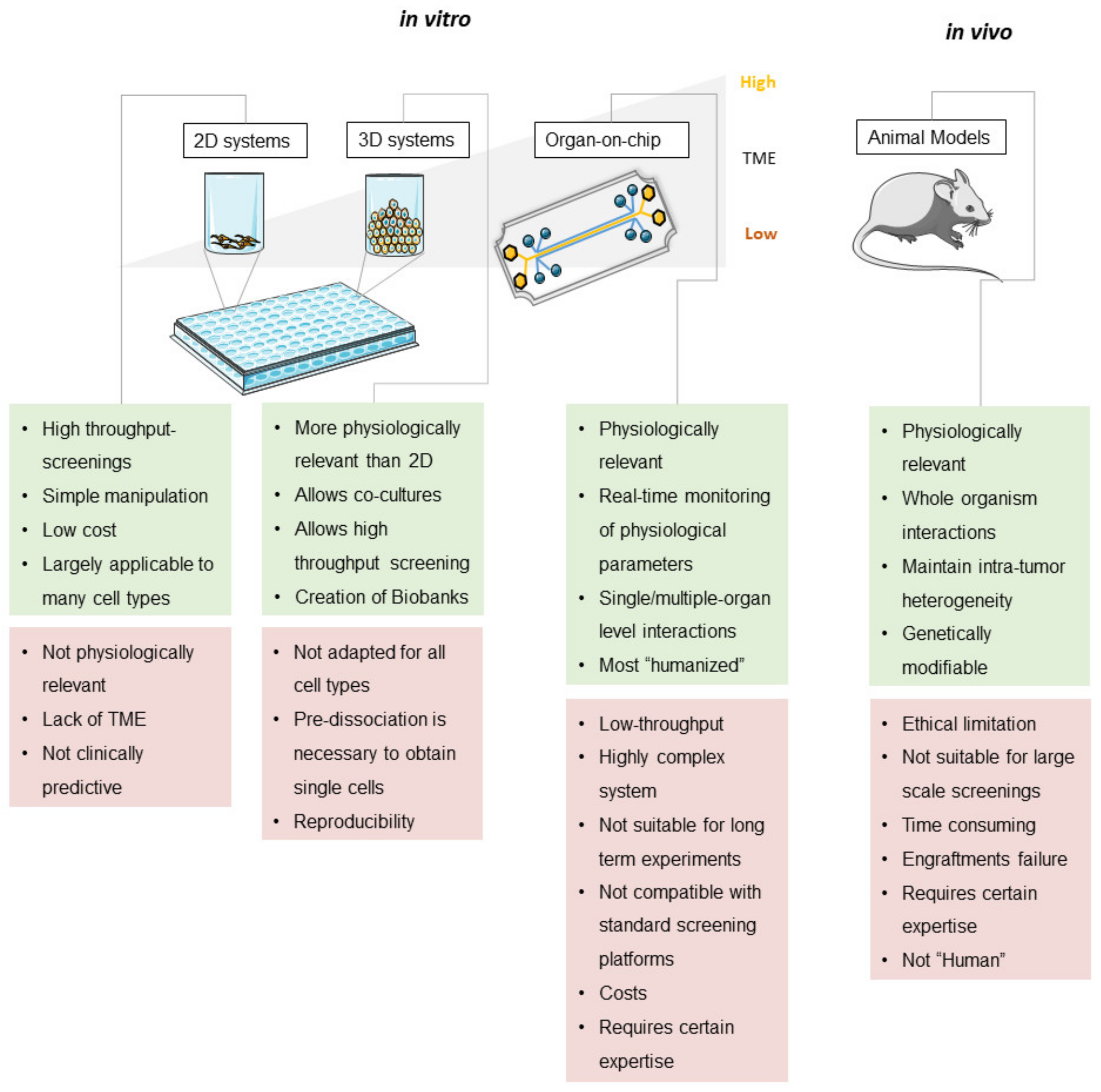 Cancers 12 01423 g002