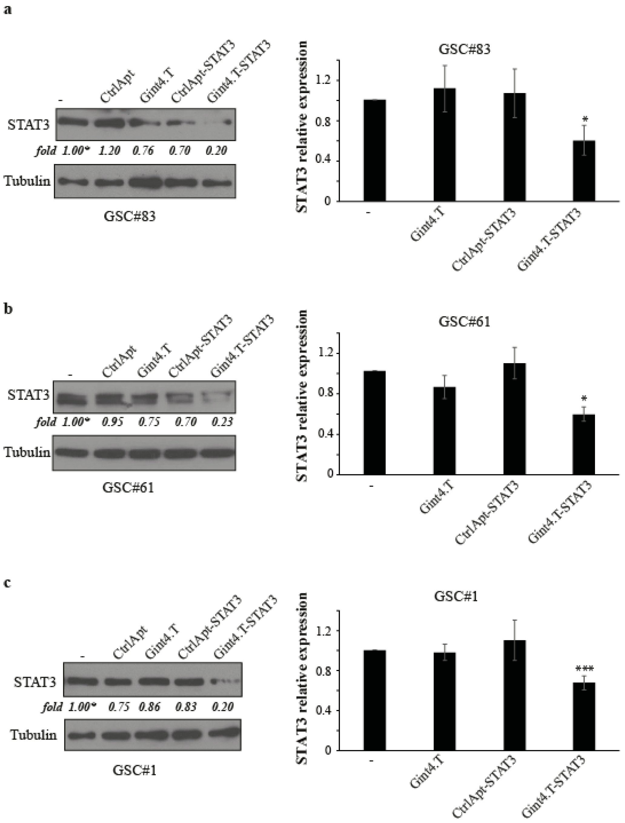 Cancers 12 01434 g001 Cancers 12 01434 g001