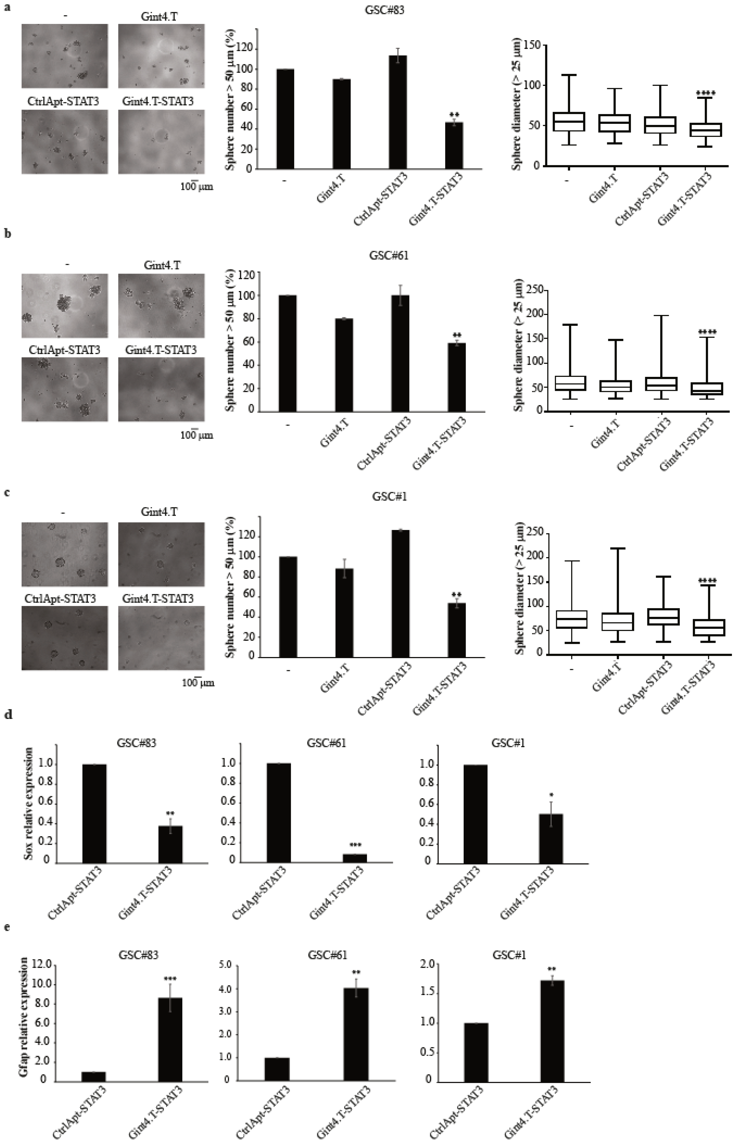 Cancers 12 01434 g002 Cancers 12 01434 g002