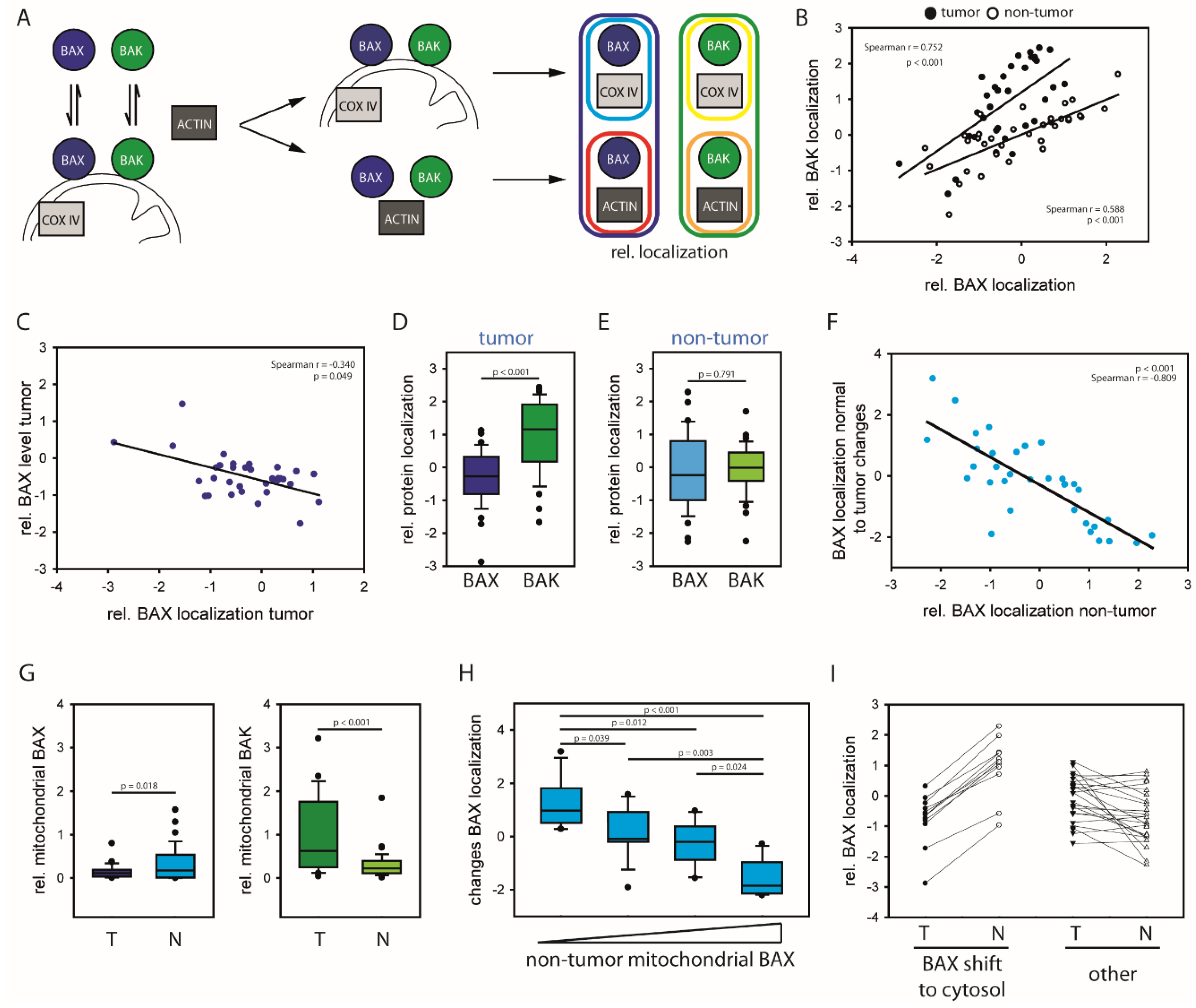 Cancers 12 01437 g001 Cancers 12 01437 g001