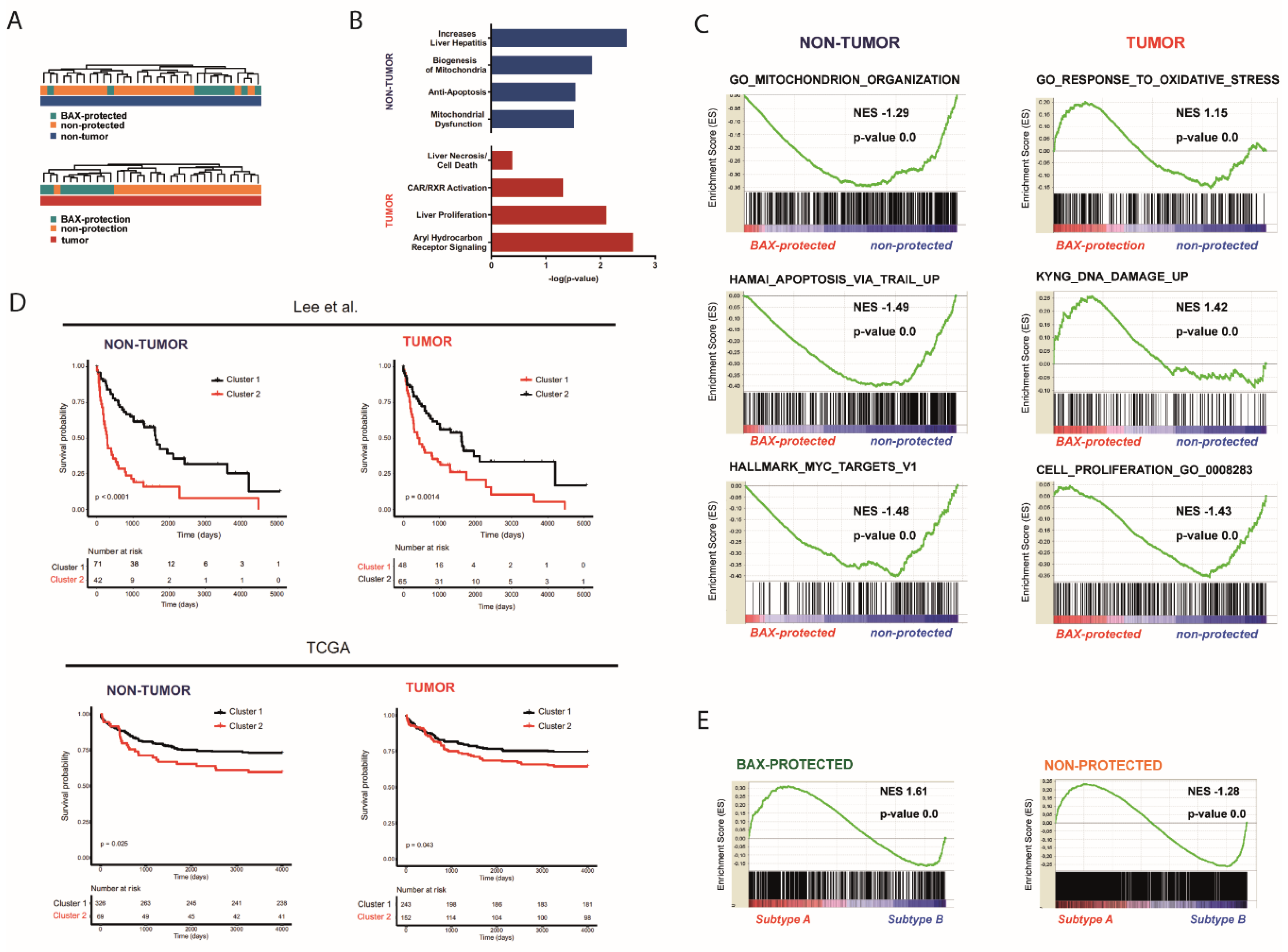 Cancers 12 01437 g002 Cancers 12 01437 g002