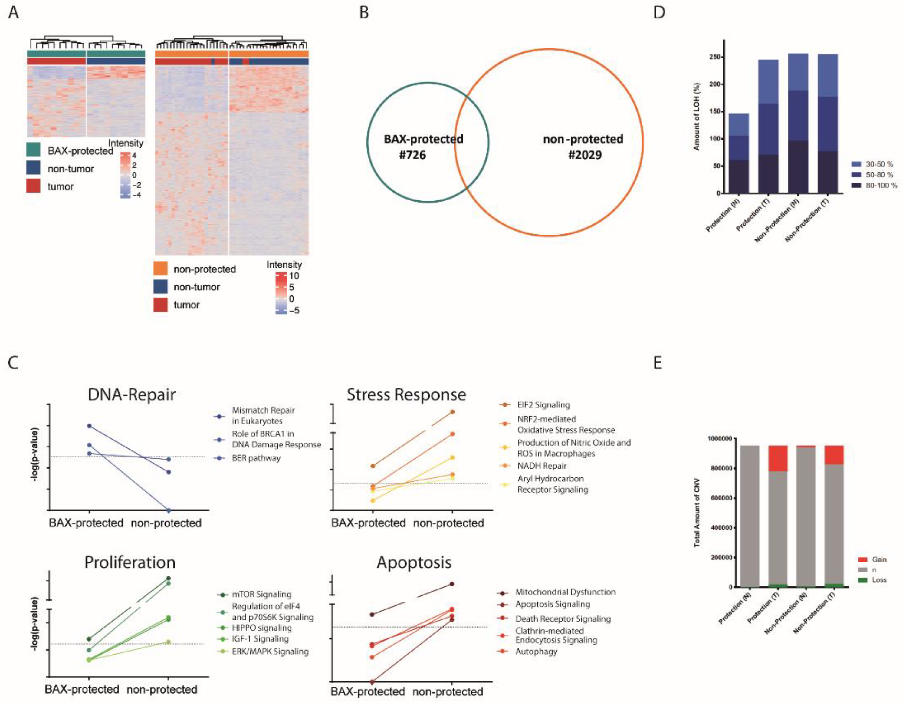 Cancers 12 01437 g003 Cancers 12 01437 g003