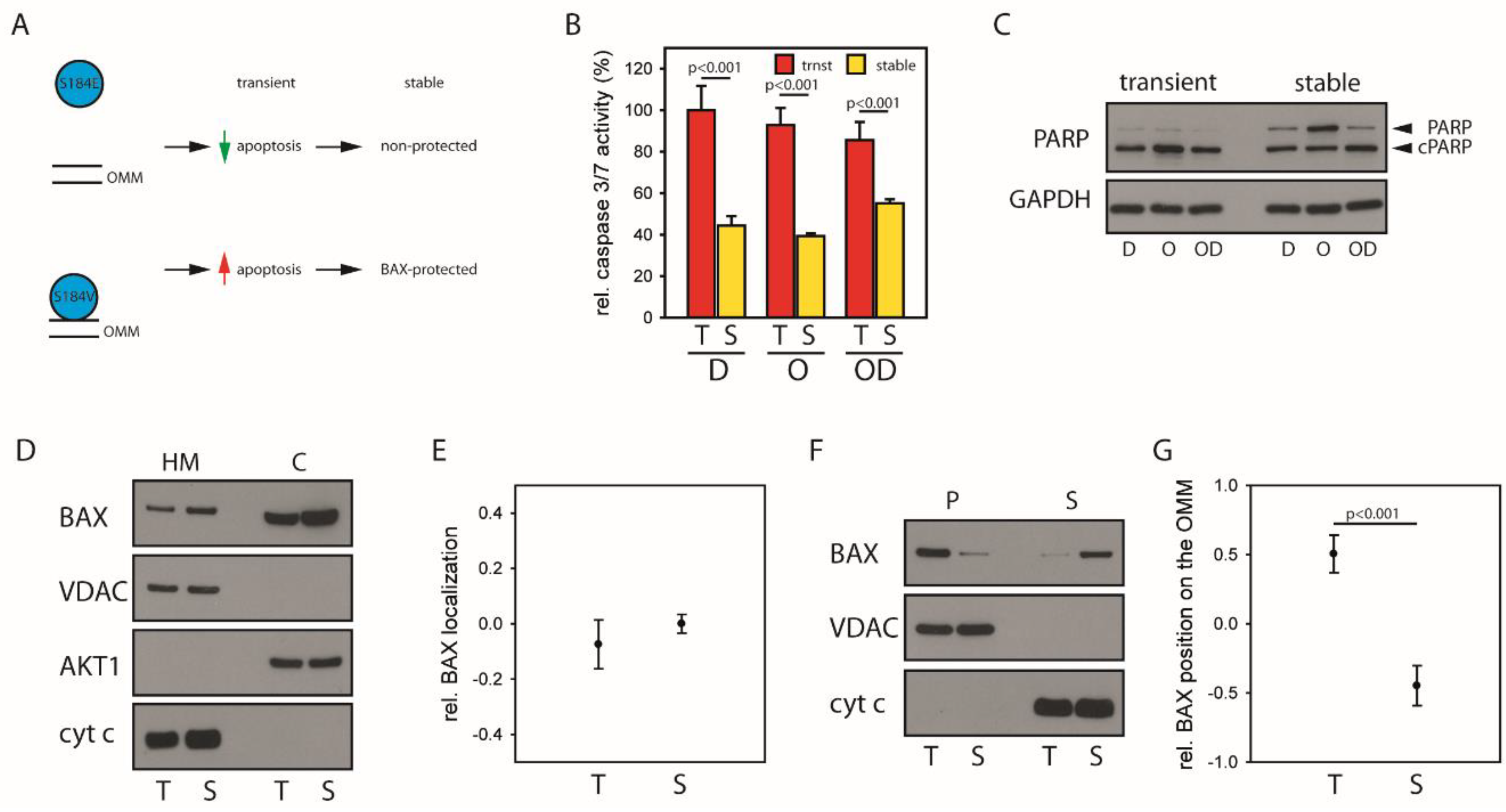 Cancers 12 01437 g004 Cancers 12 01437 g004