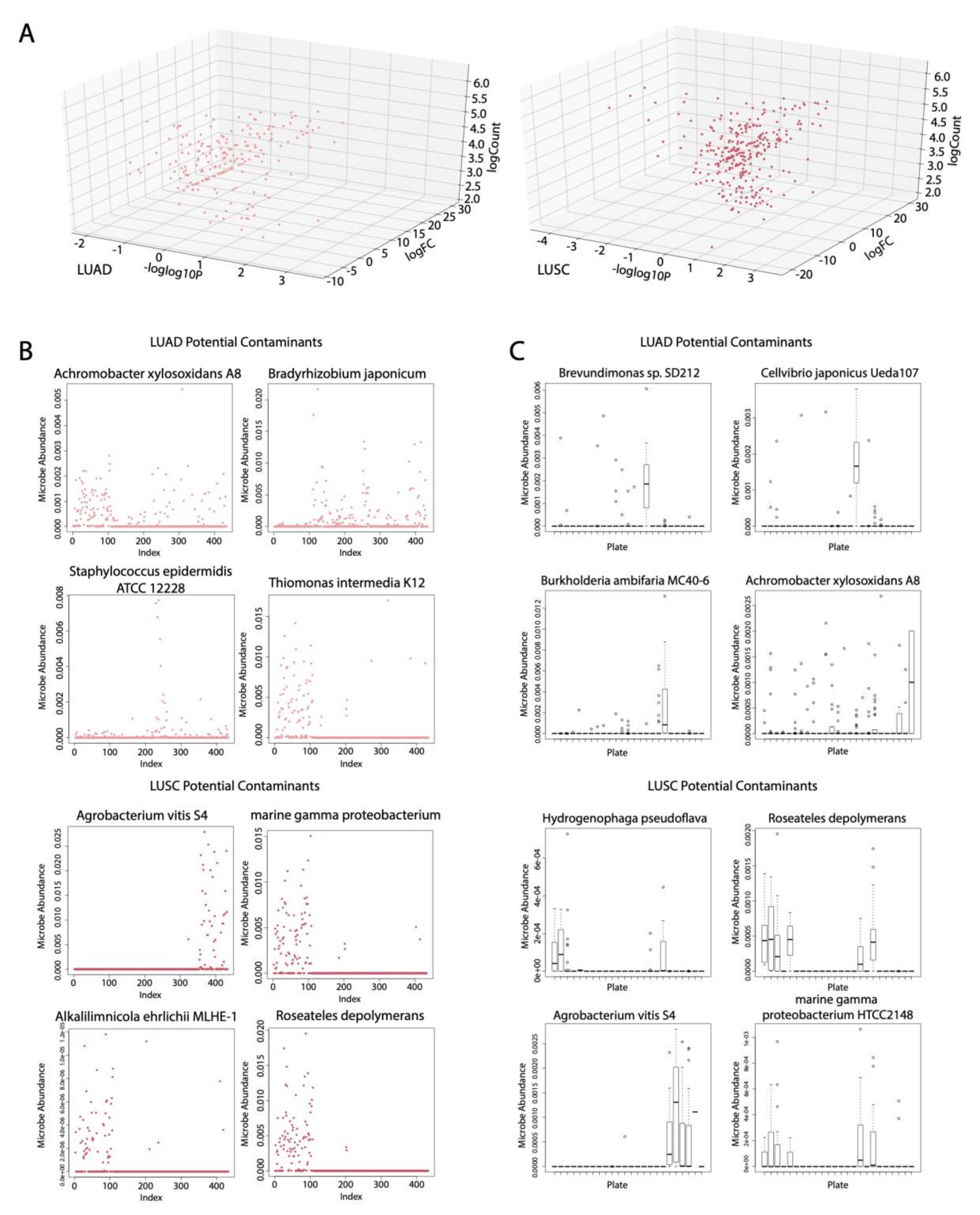 Cancers 12 01447 g002 Cancers 12 01447 g002
