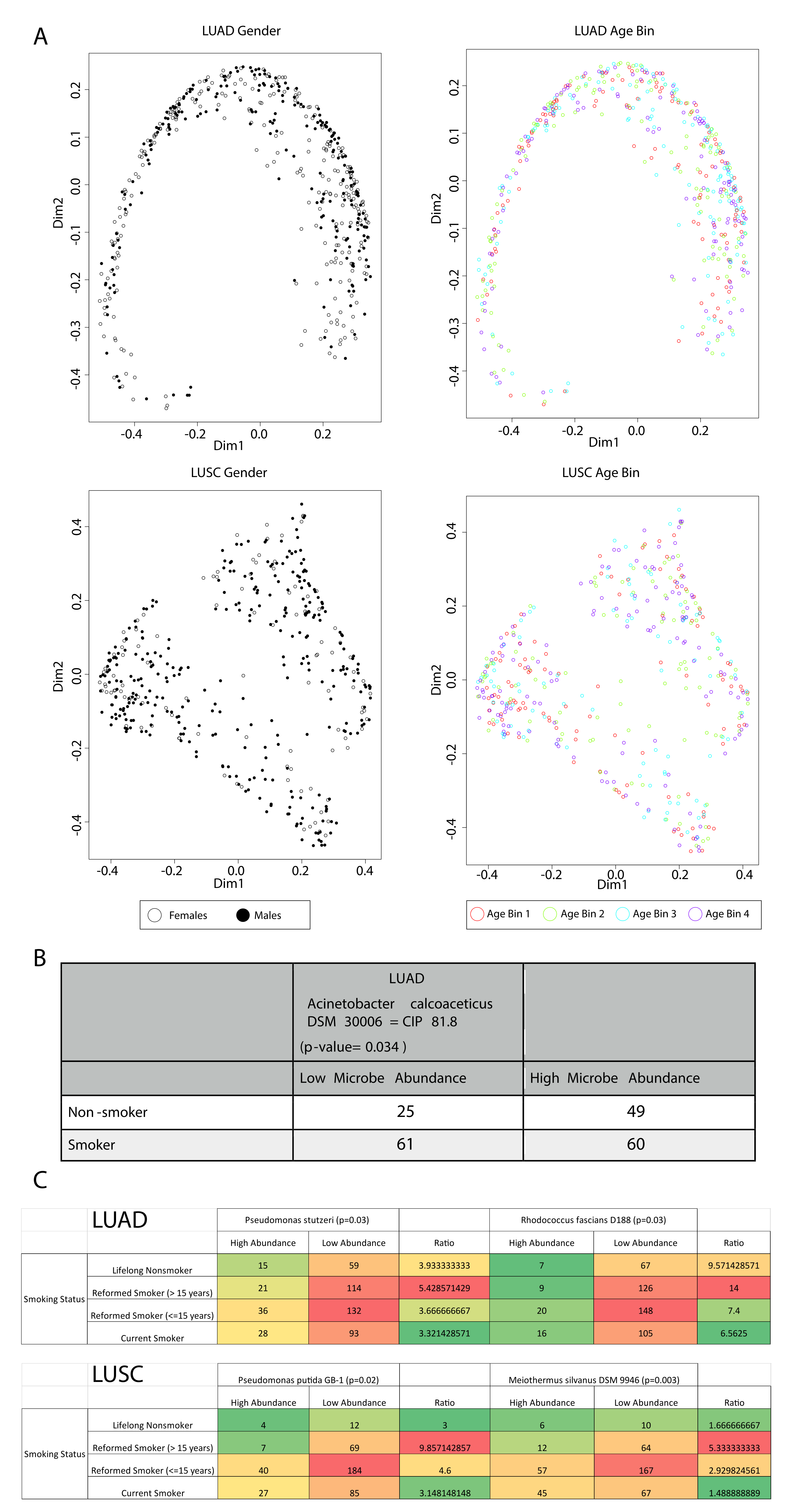 Cancers 12 01447 g003 Cancers 12 01447 g003