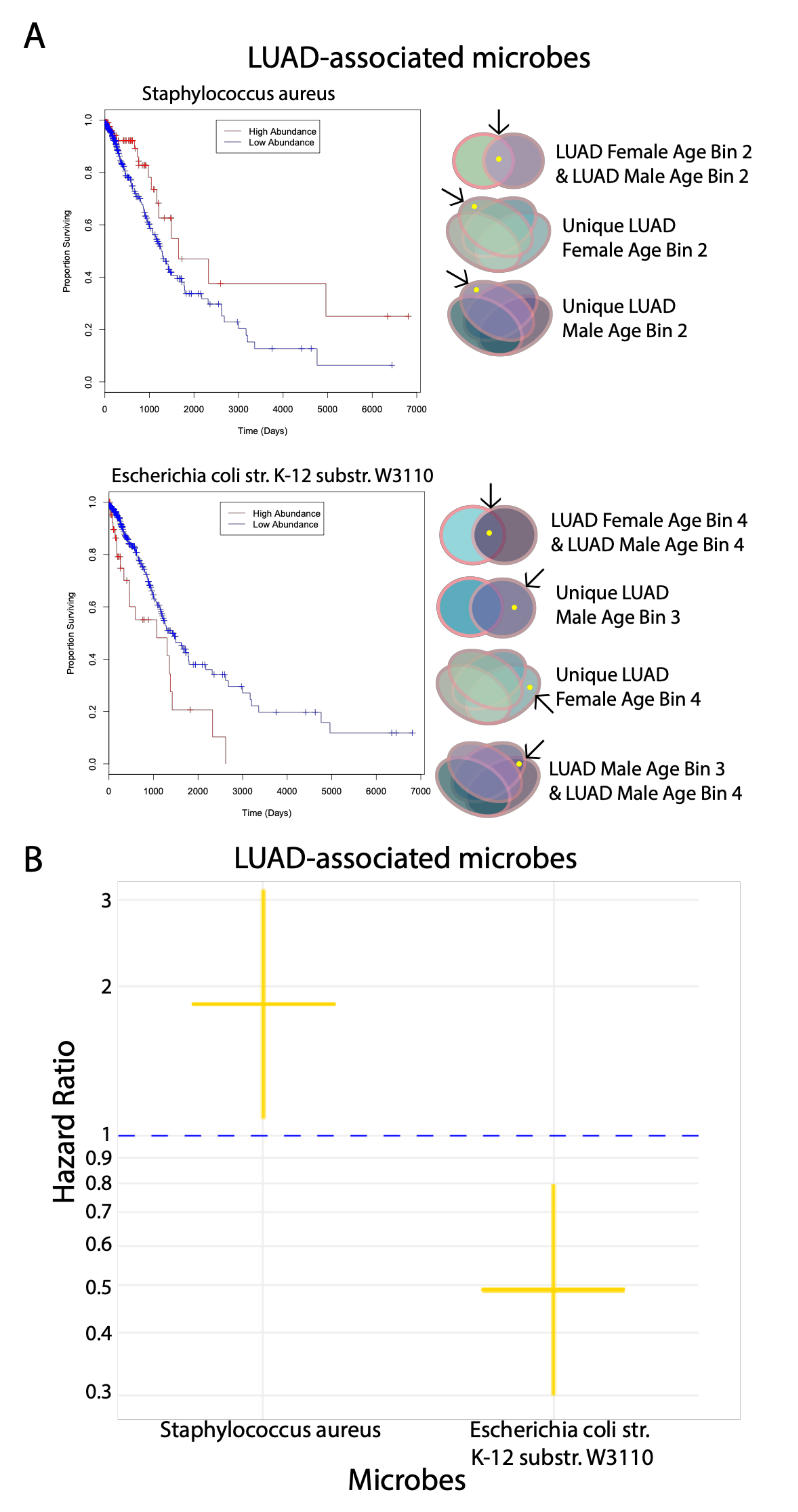 Cancers 12 01447 g004 Cancers 12 01447 g004