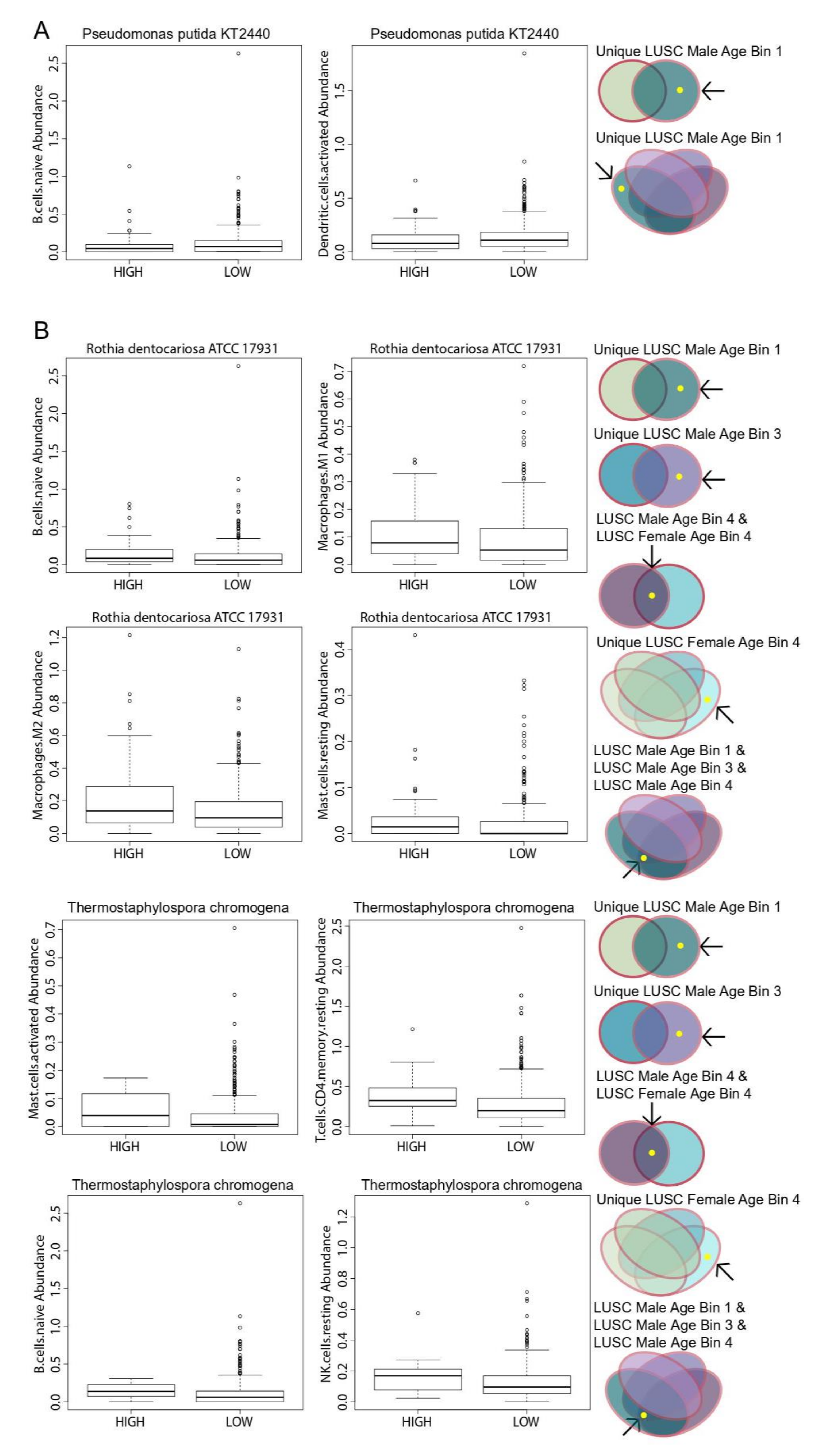 Cancers 12 01447 g005 Cancers 12 01447 g005