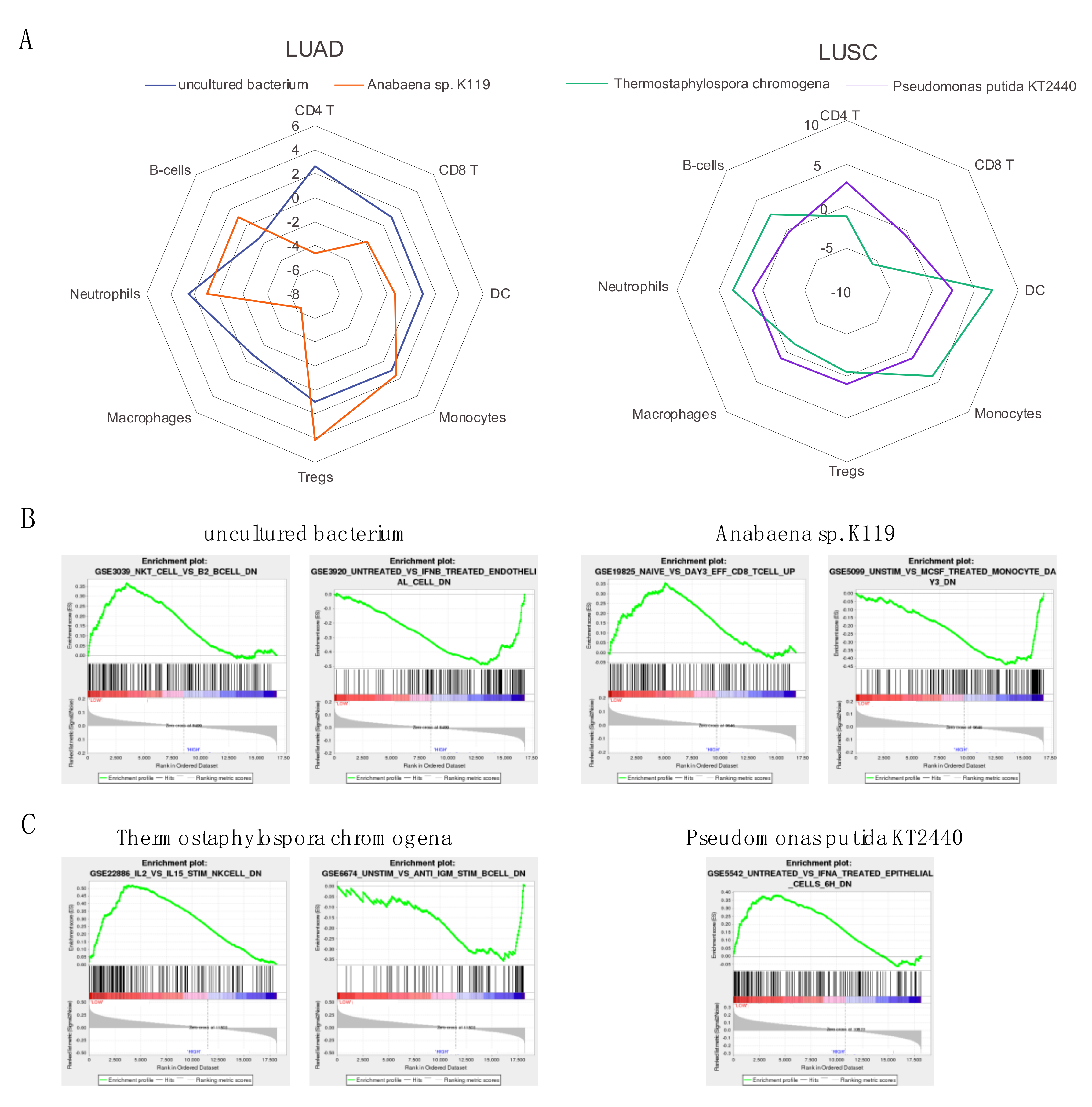 Cancers 12 01447 g006 Cancers 12 01447 g006