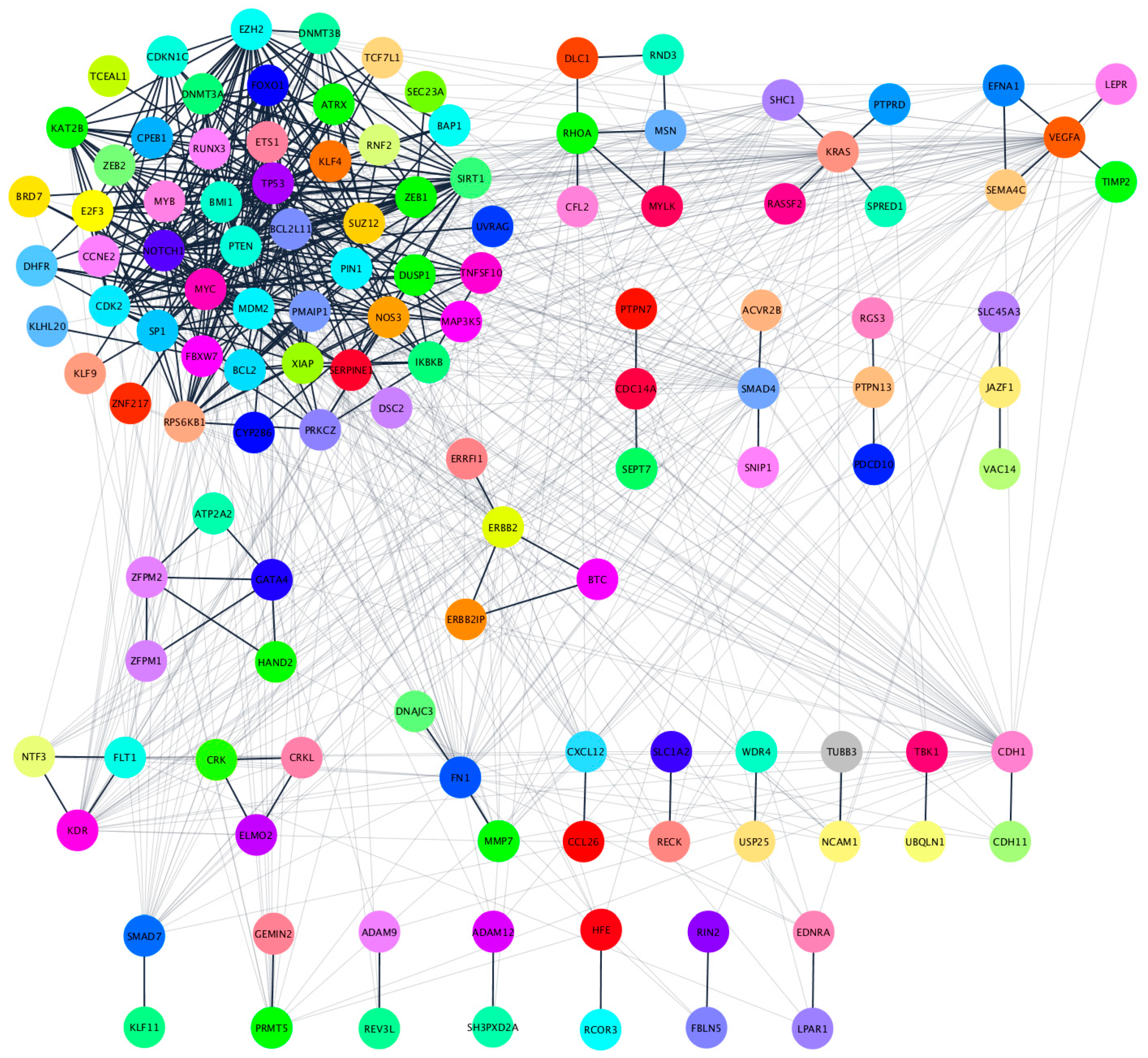 Cancers 12 01450 g005 Cancers 12 01450 g005