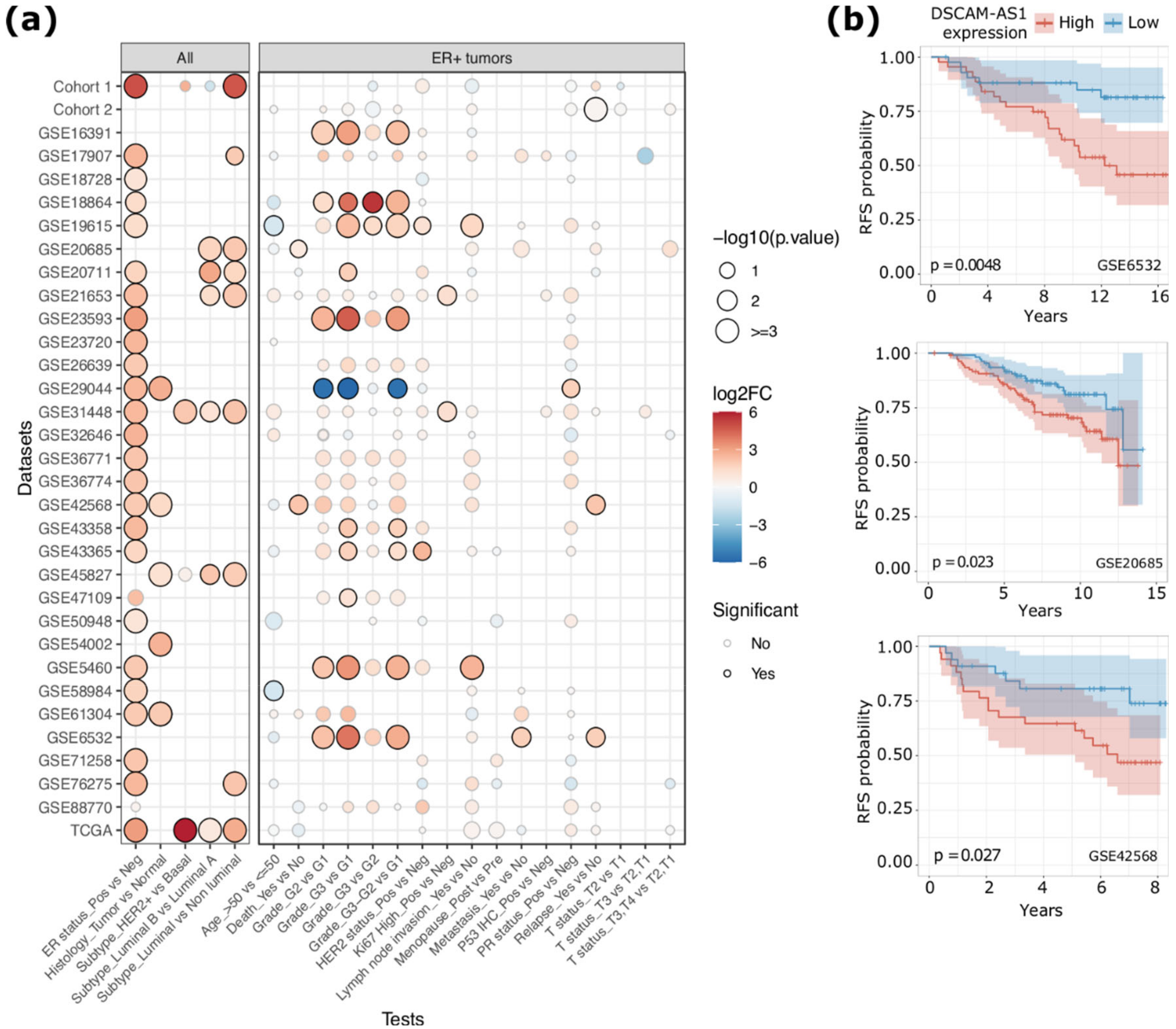 Cancers 12 01453 g001