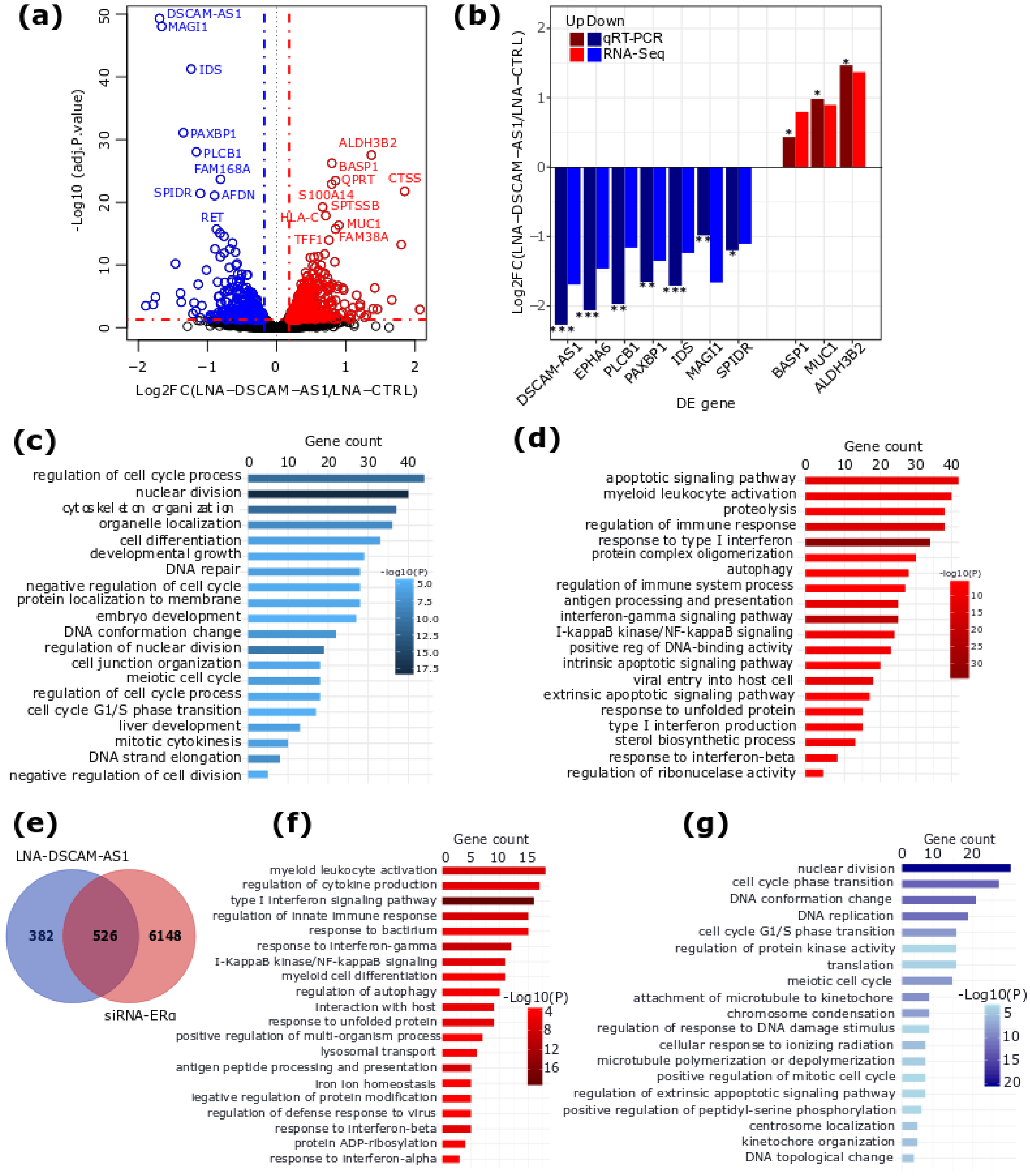 Cancers 12 01453 g002