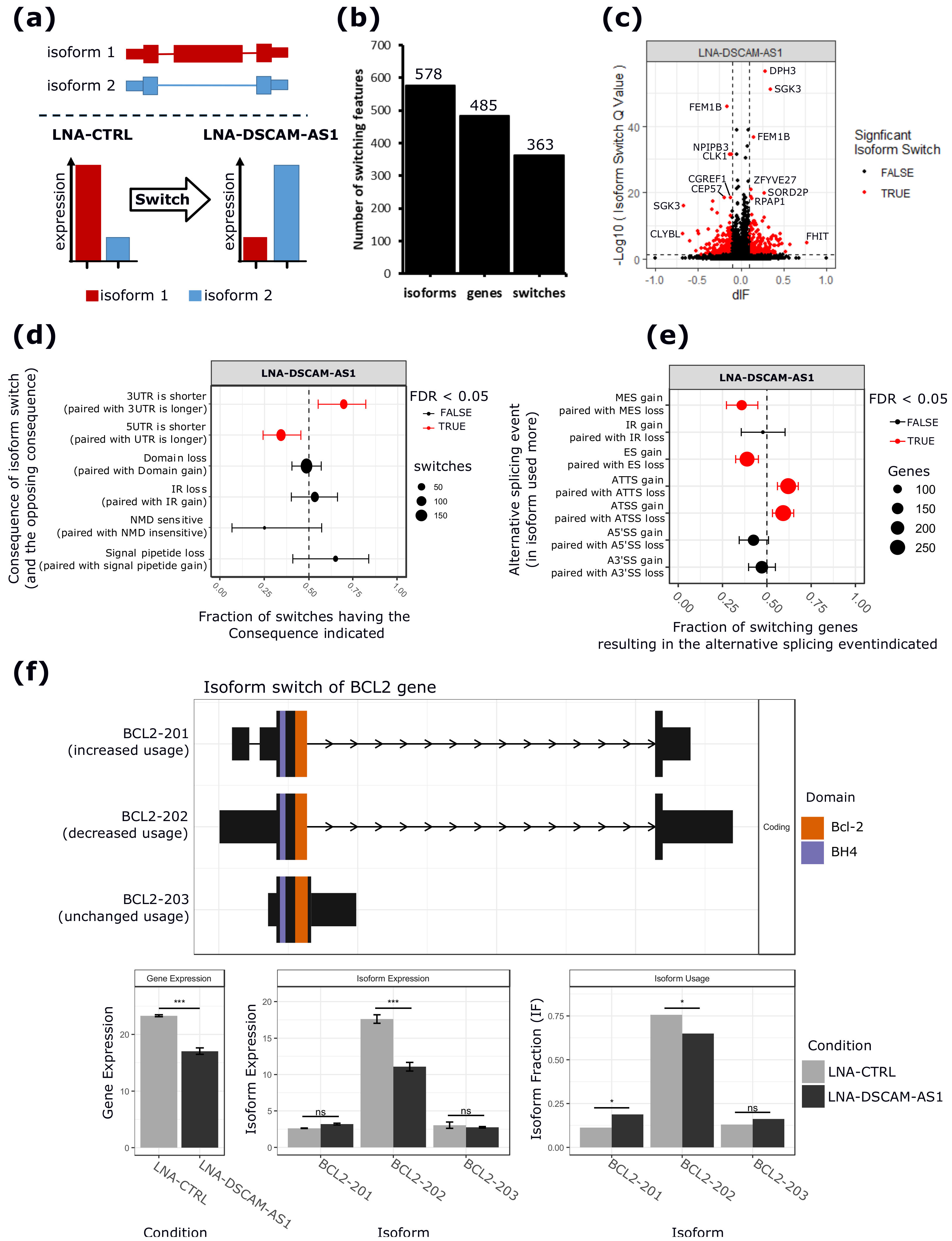 Cancers 12 01453 g003