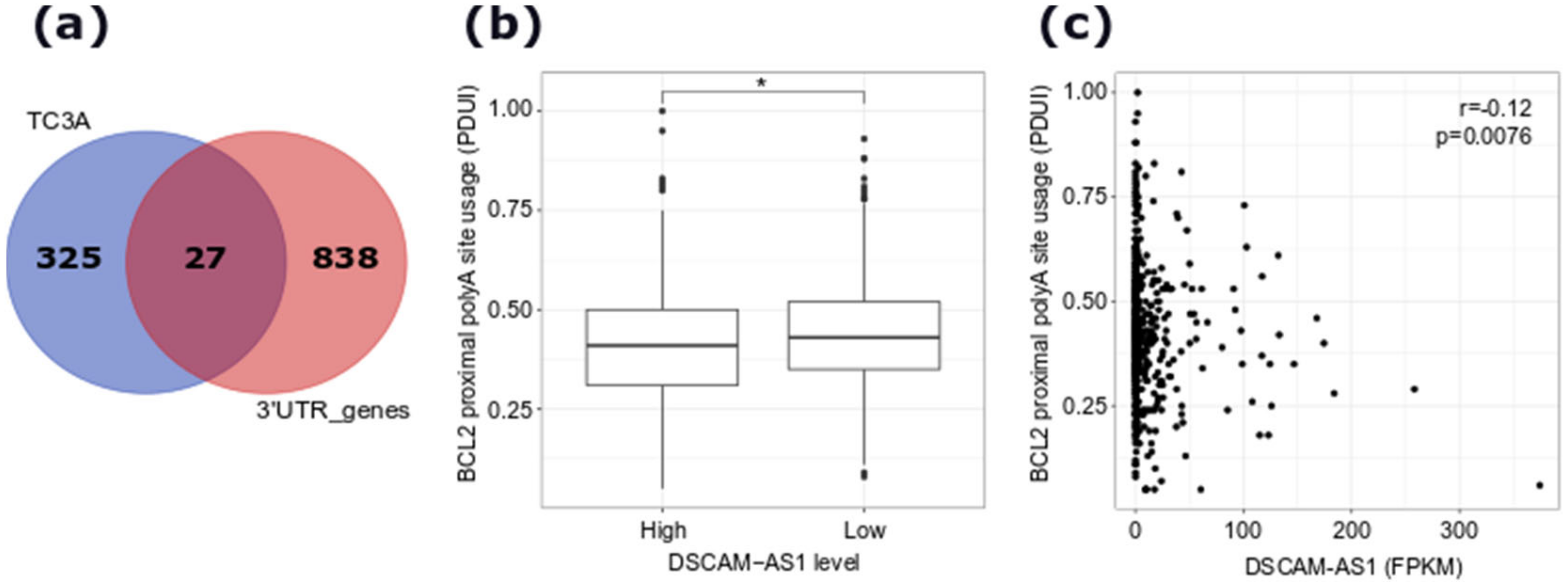 Cancers 12 01453 g004