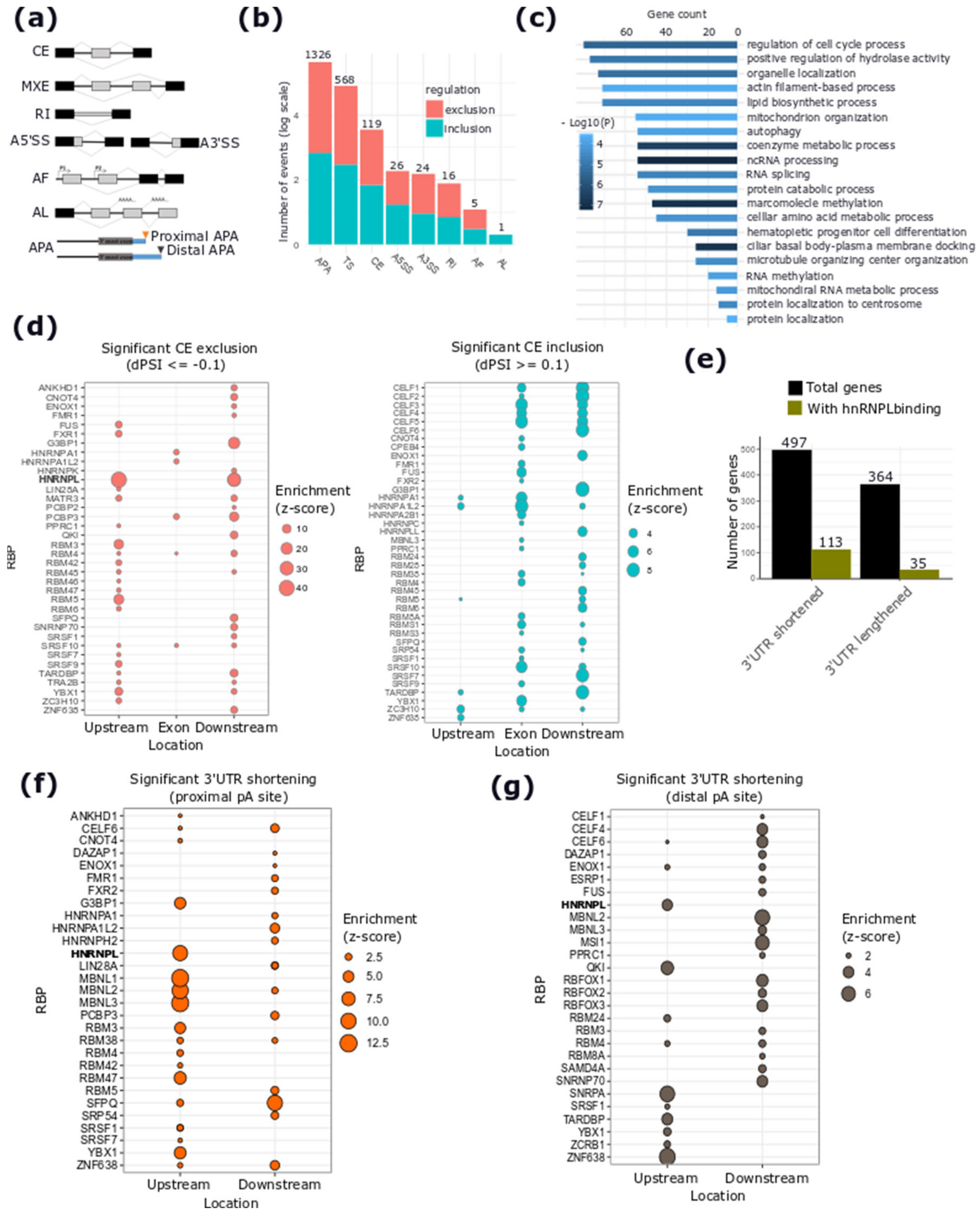 Cancers 12 01453 g005