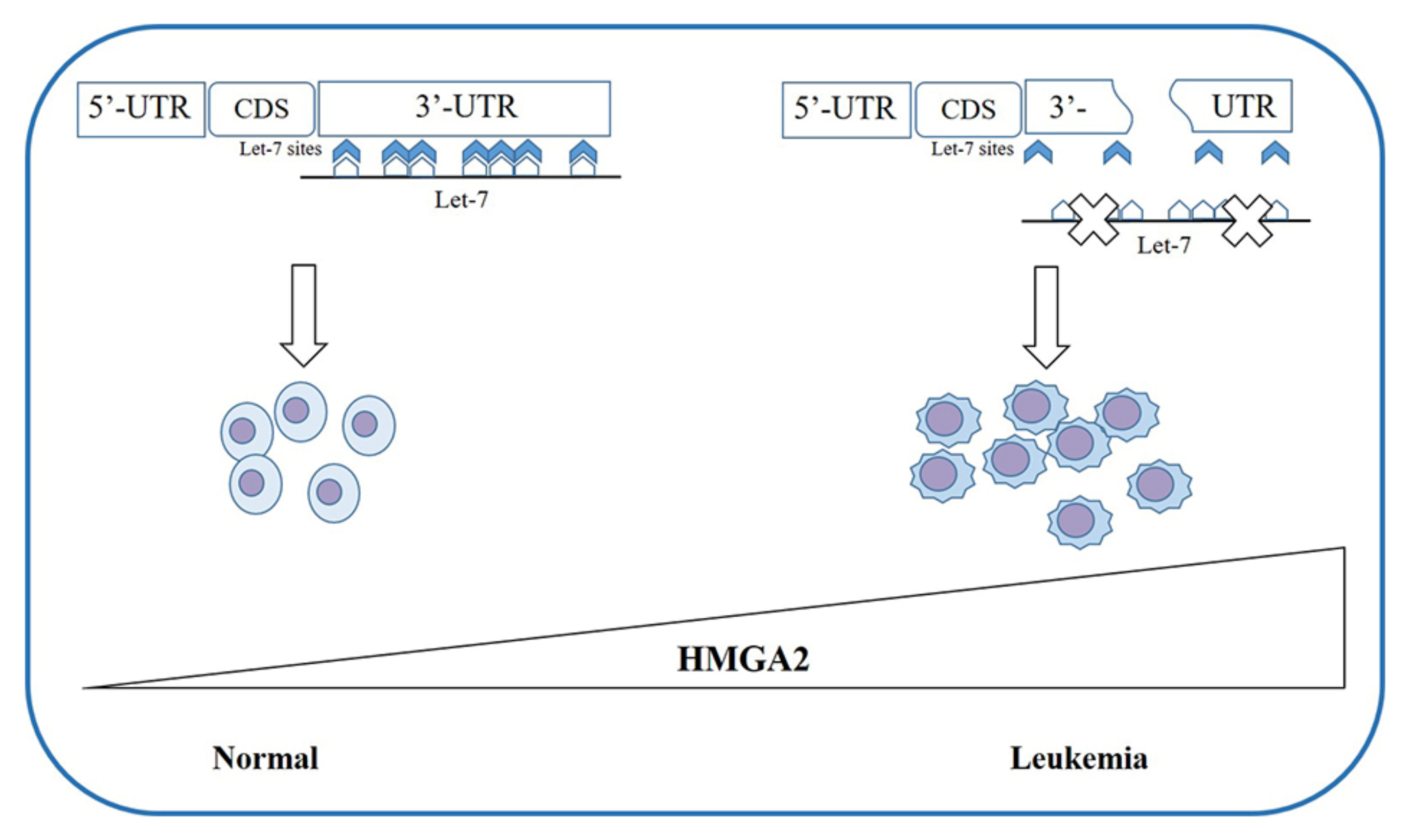 Cancers 12 01456 g002