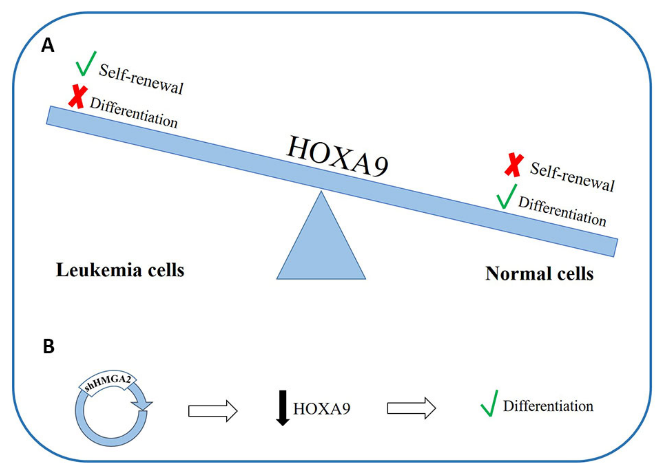 Cancers 12 01456 g003