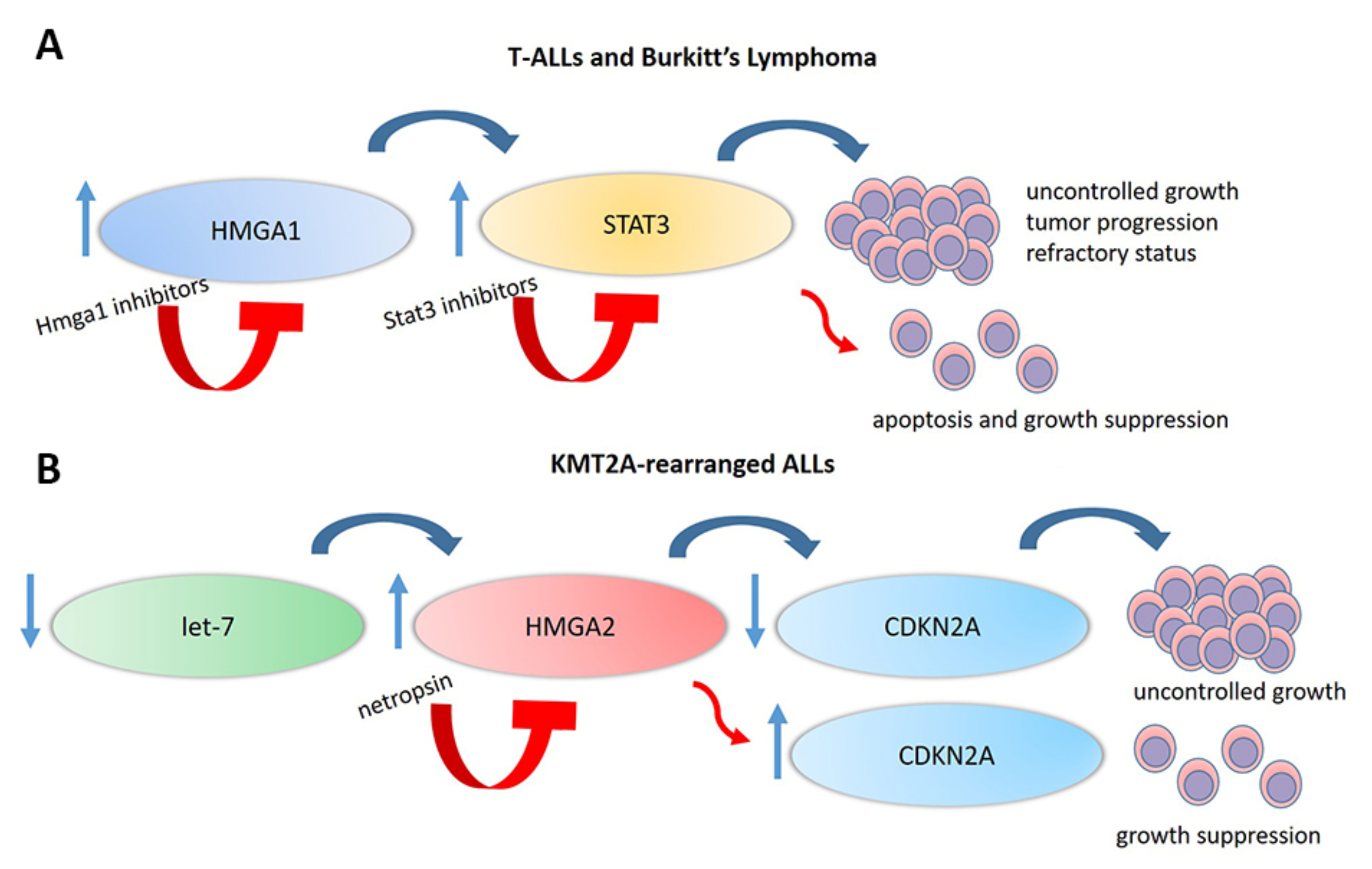 Cancers 12 01456 g004