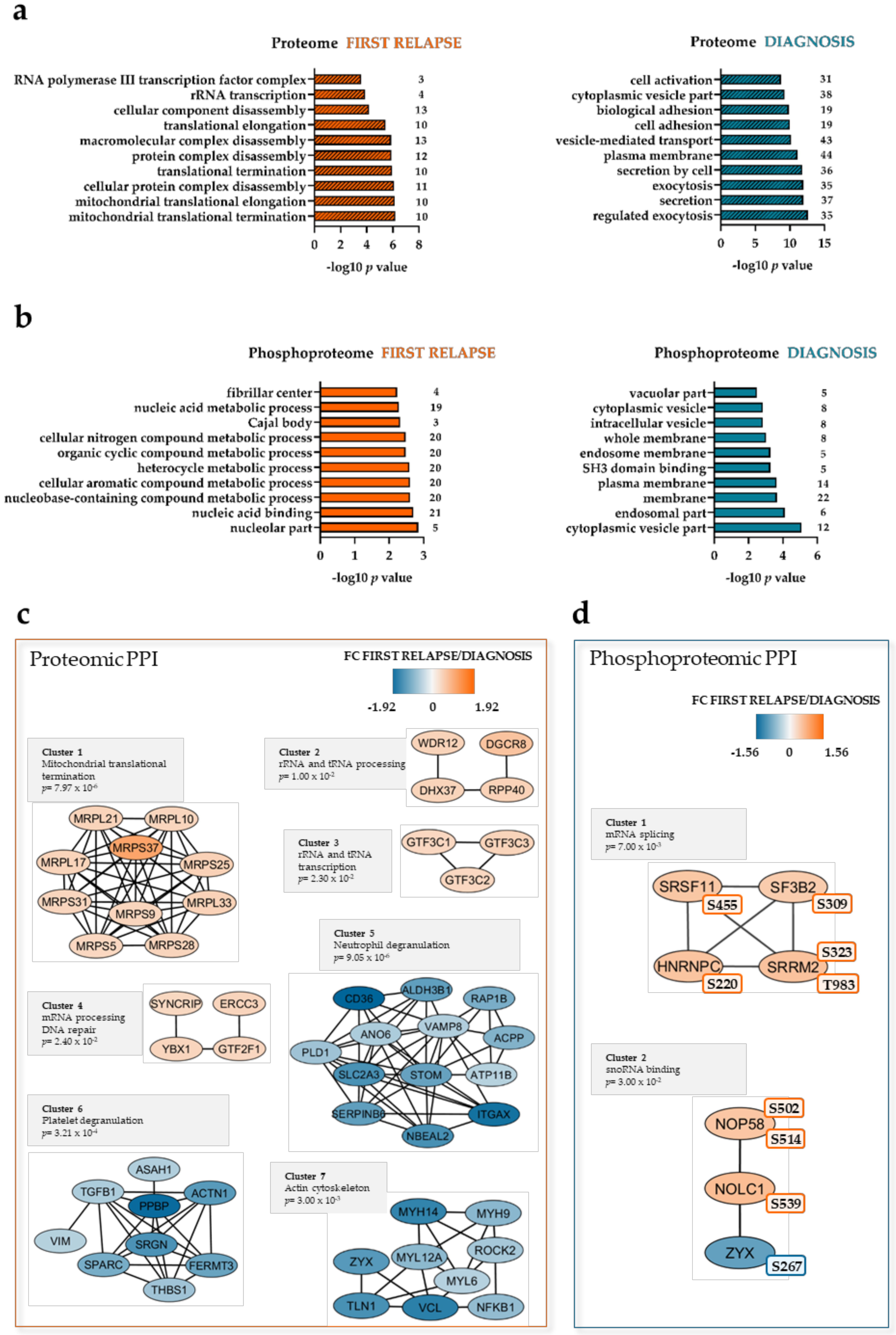 Cancers 12 01466 g002