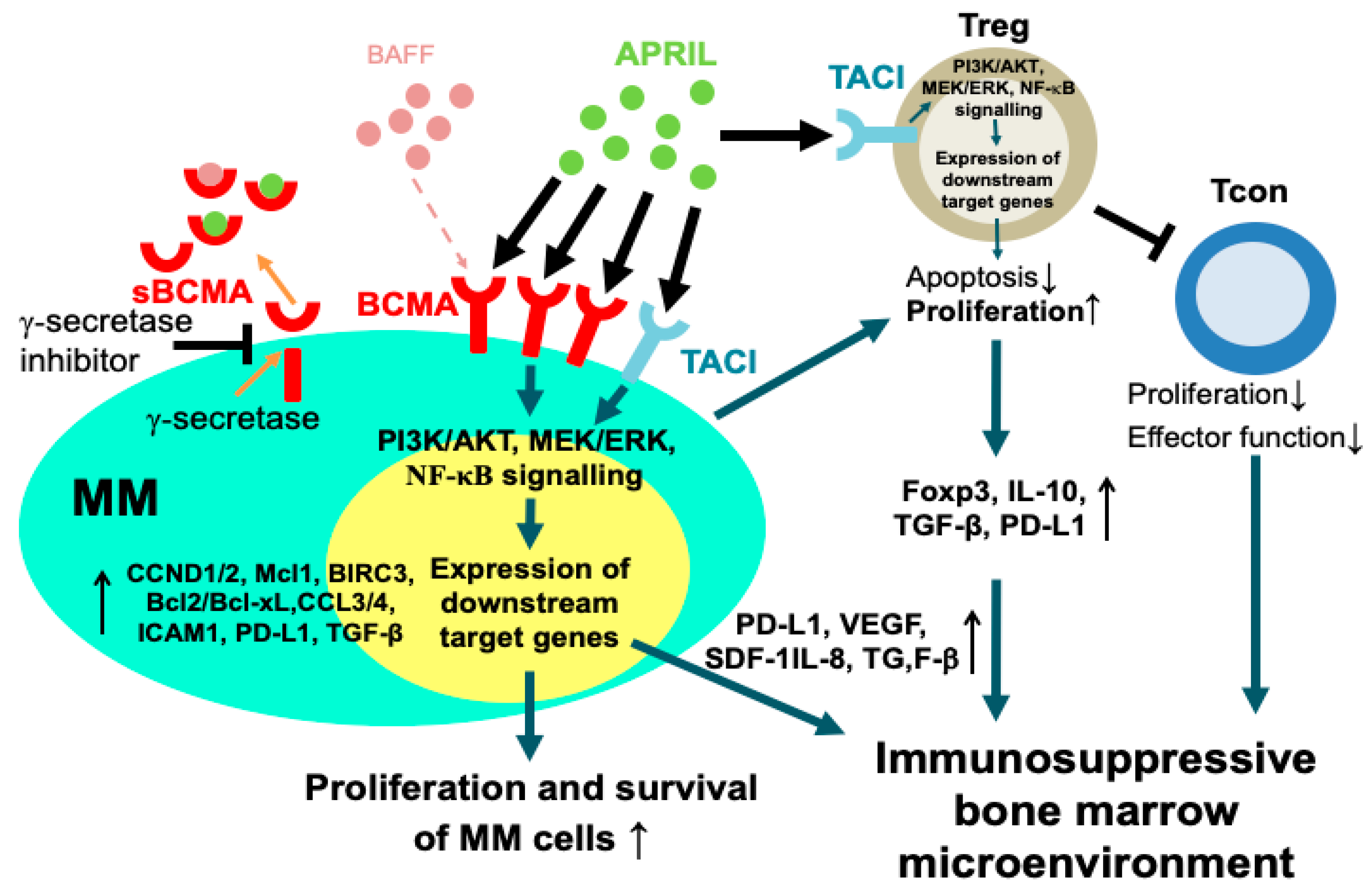Cancers 12 01473 g001