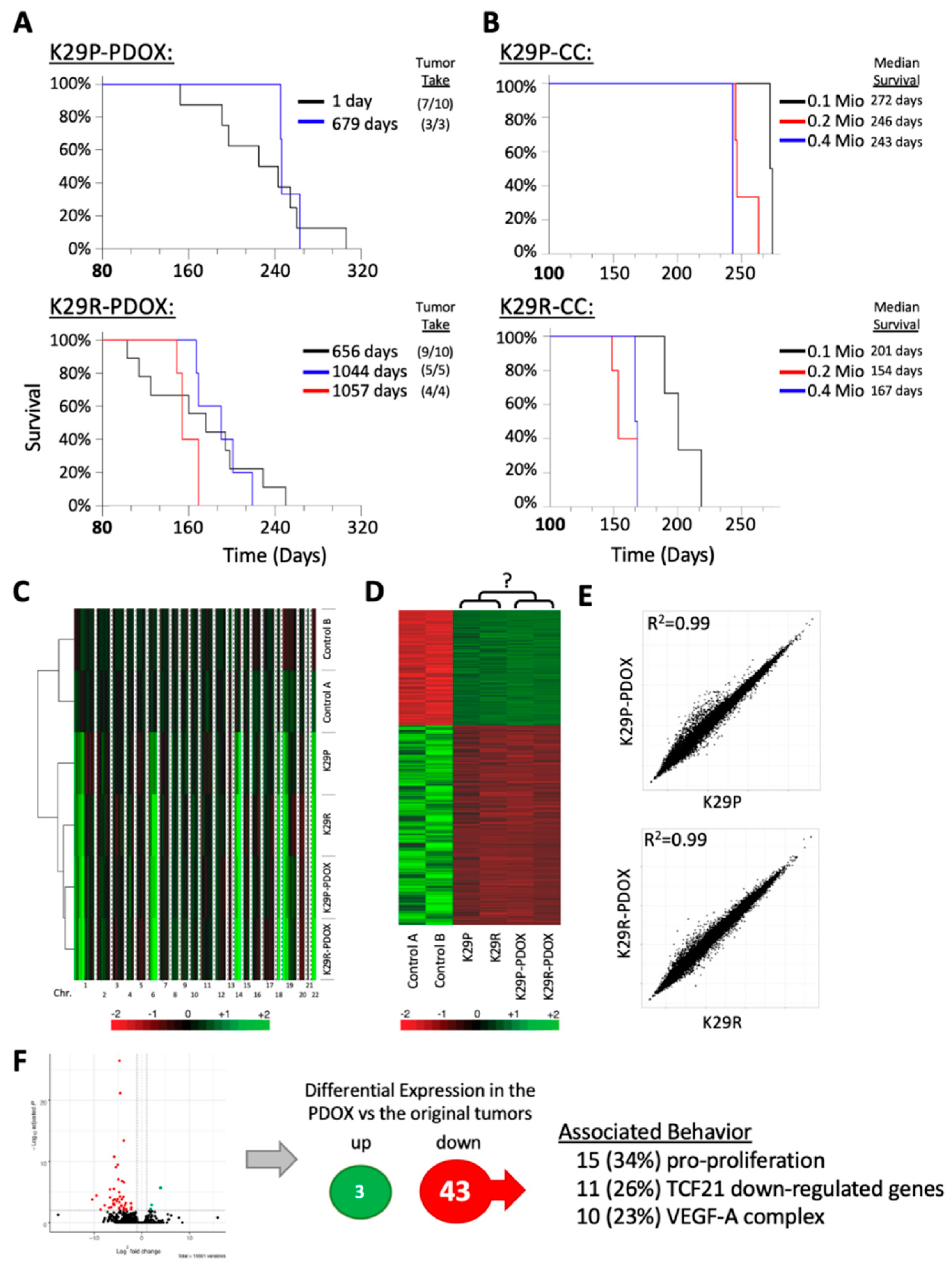 Cancers 12 01478 g002