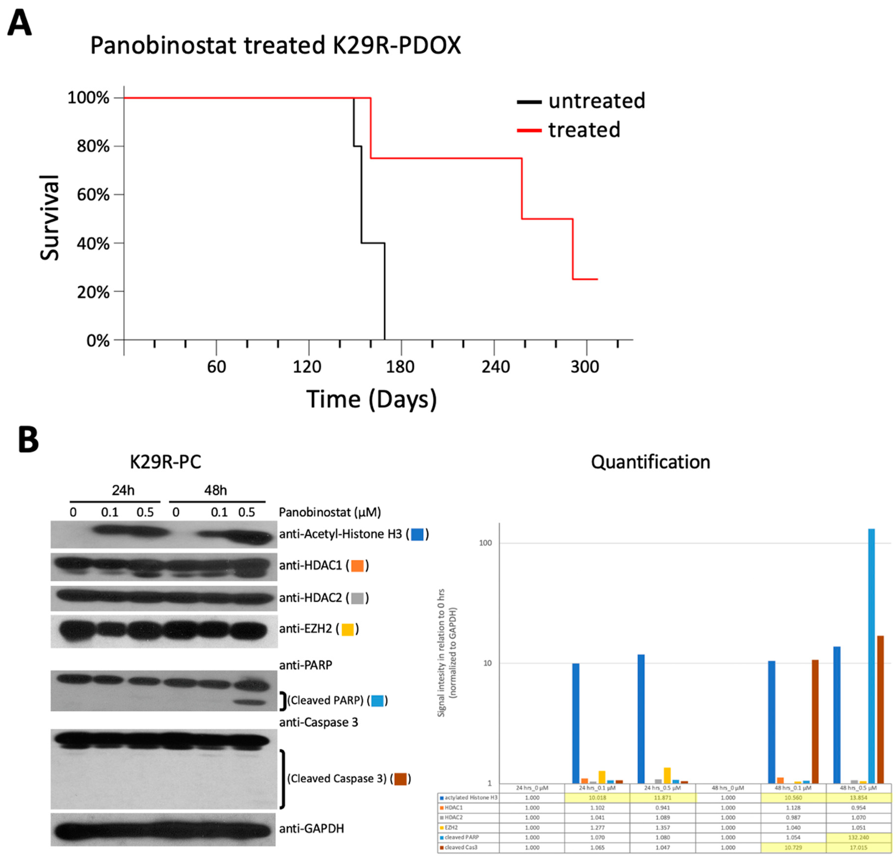 Cancers 12 01478 g005